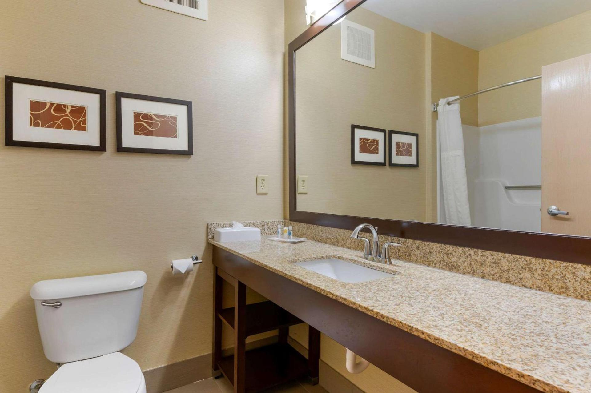 Comfort Suites Columbus Expo Center photo 25