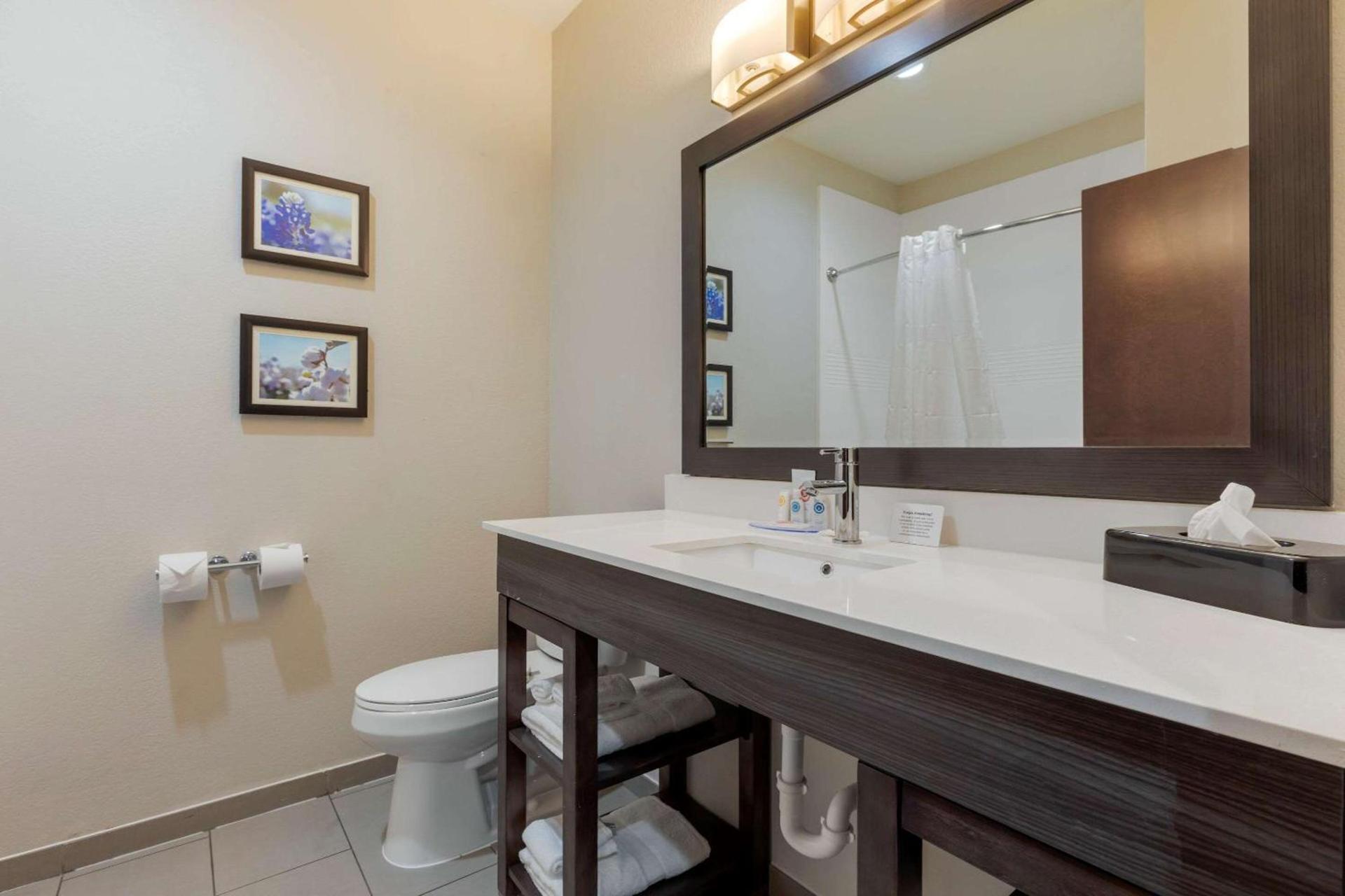 Comfort Inn & Suites Balch Springs - SE Dallas photo 12