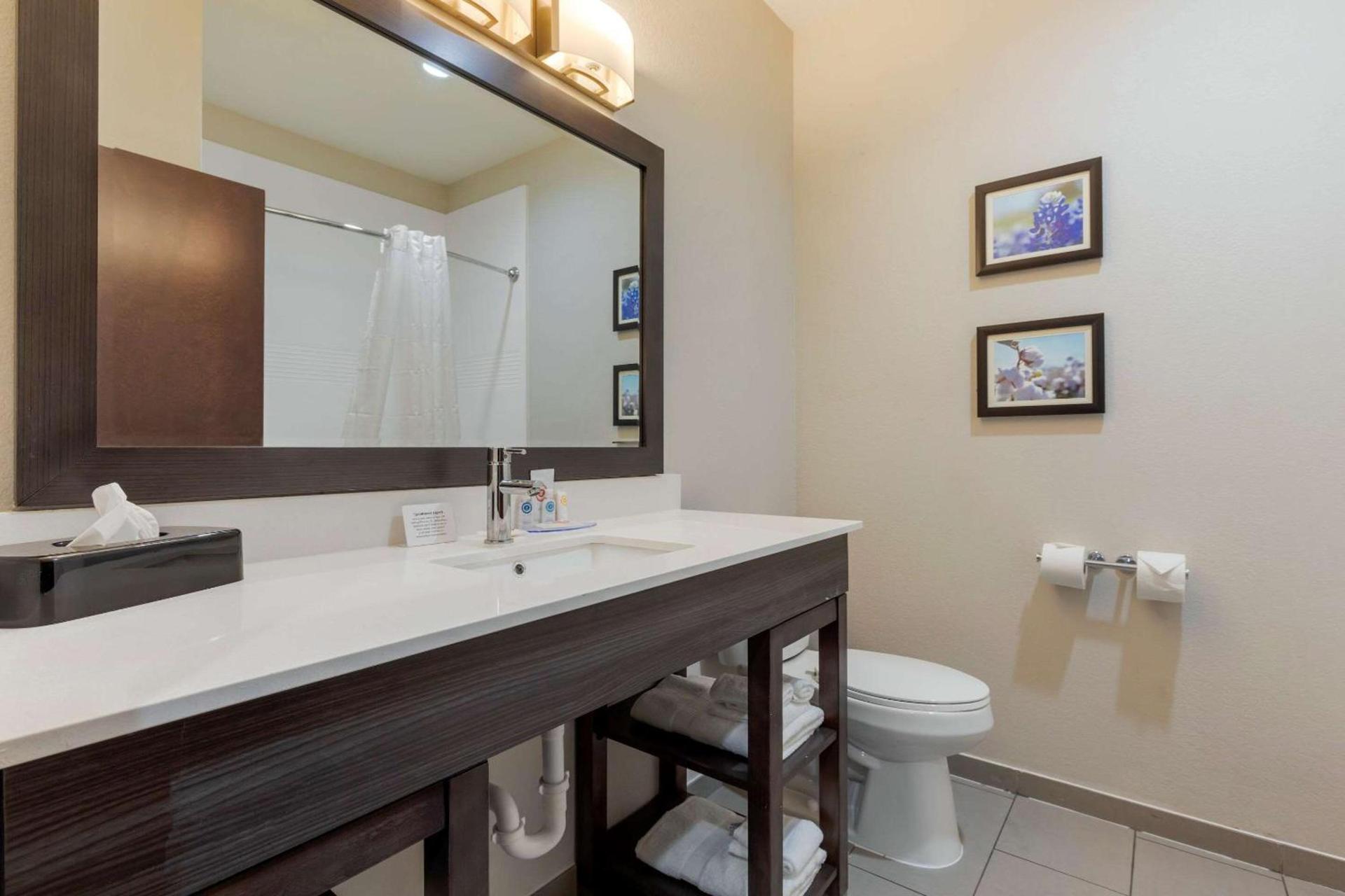 Comfort Inn & Suites Balch Springs - SE Dallas photo 20