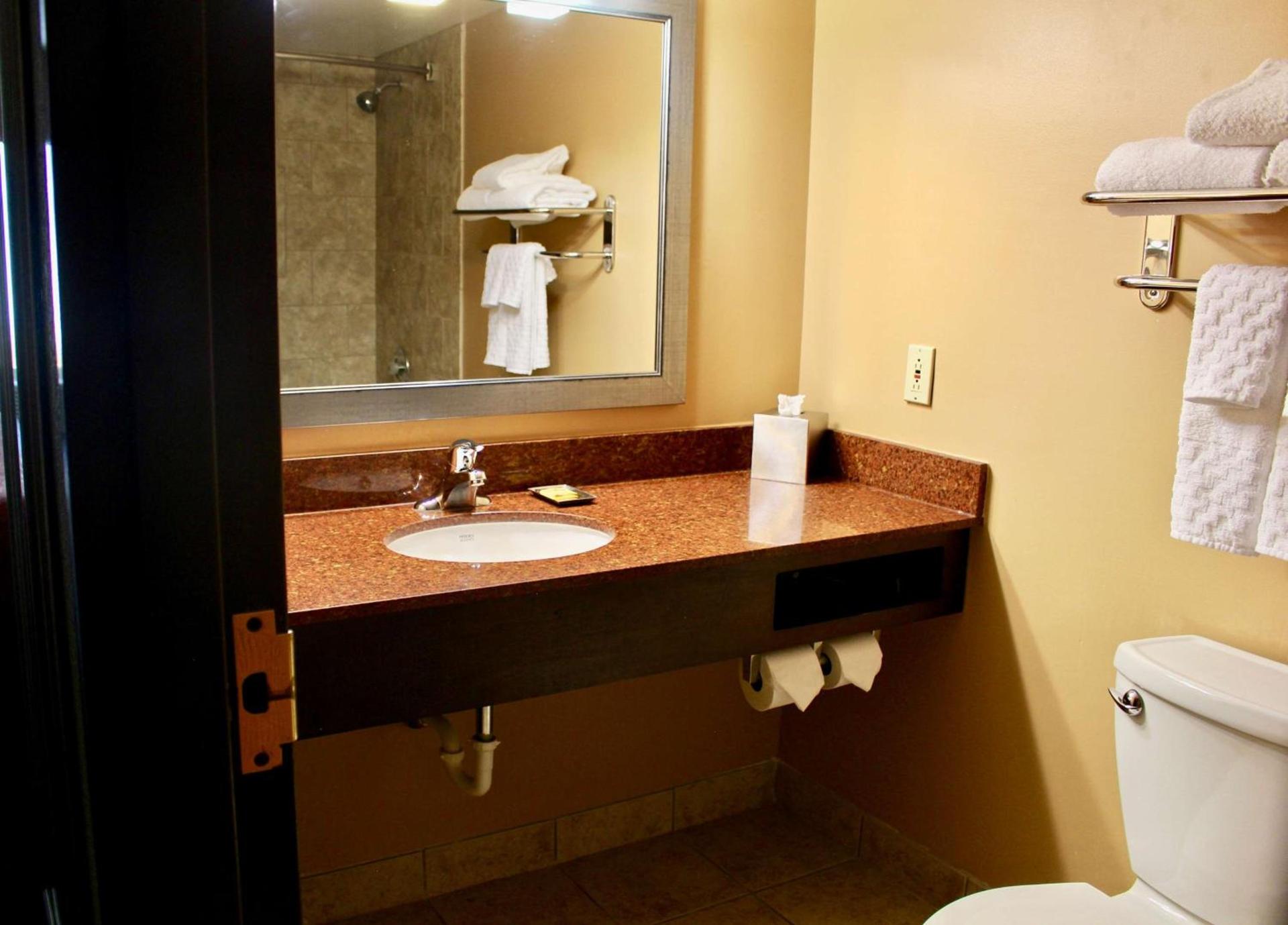 Comfort Inn Eagan Minneapolis - St Paul South photo 28