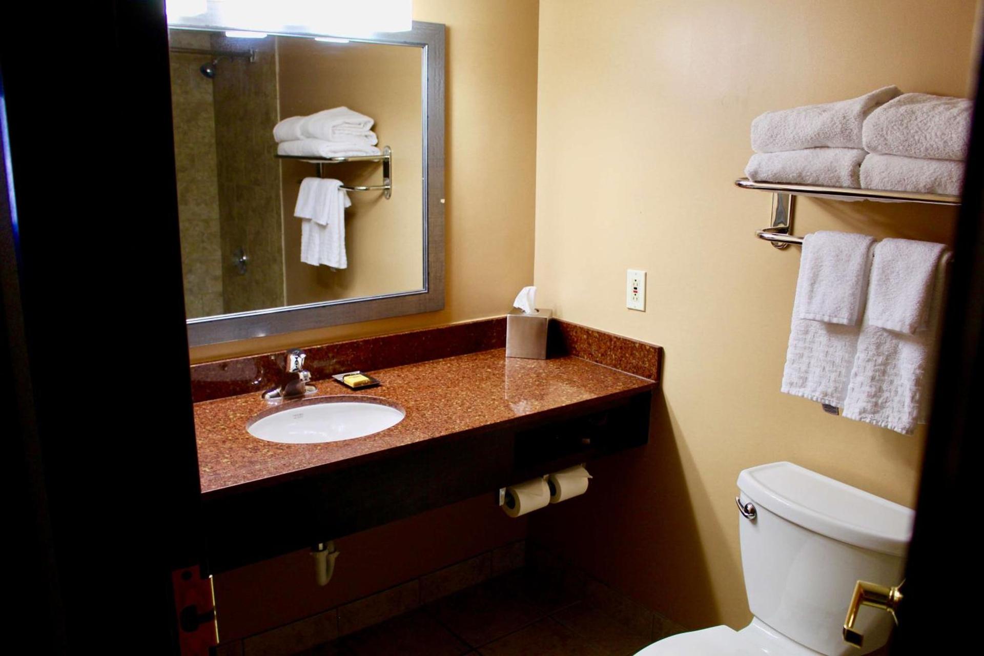 Comfort Inn Eagan Minneapolis - St Paul South photo 31