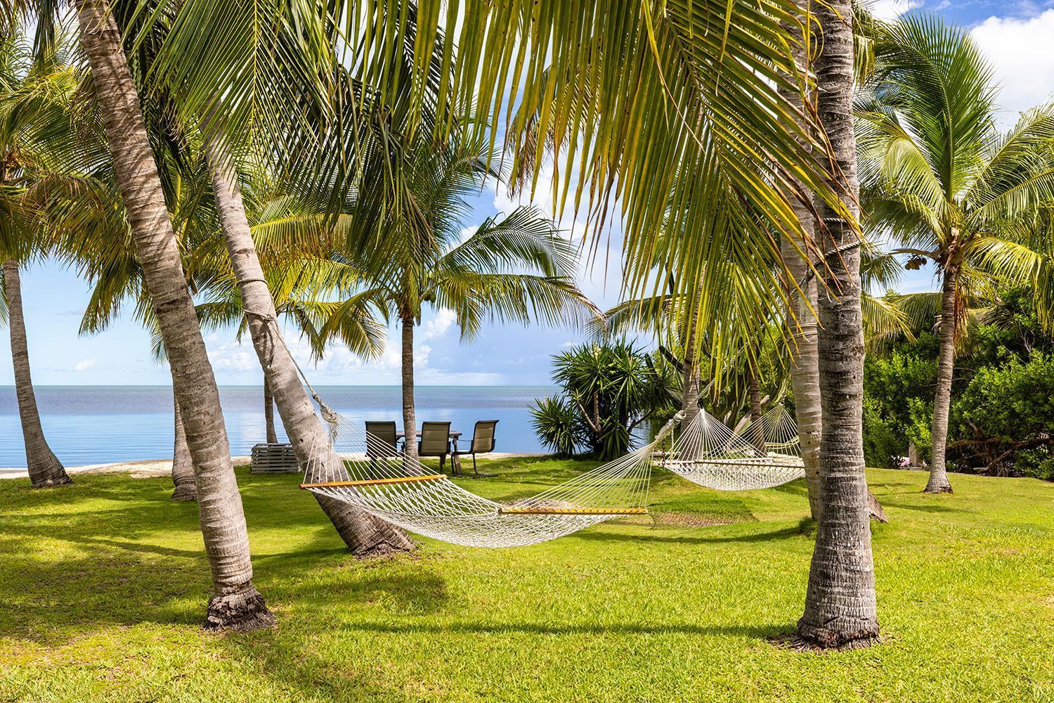 Gulf View Waterfront Resort photo 4