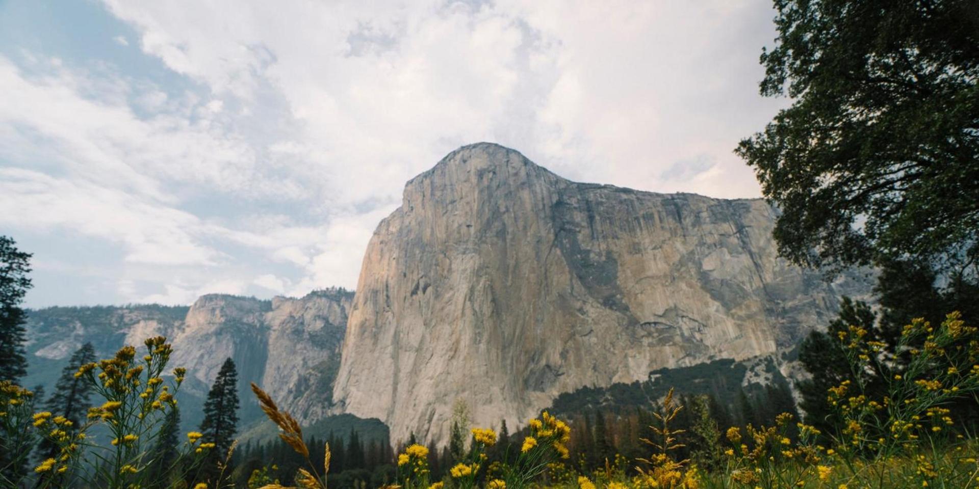 AutoCamp Yosemite photo 39