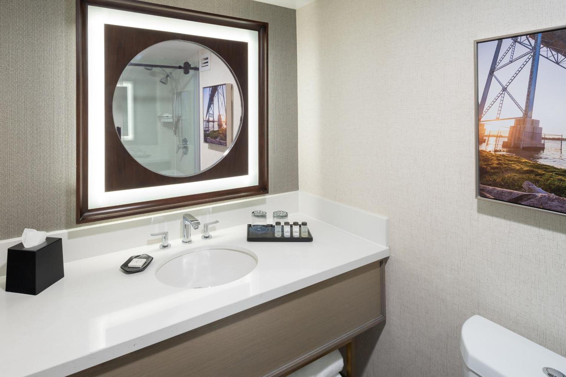 Sheraton Detroit Novi photo 12