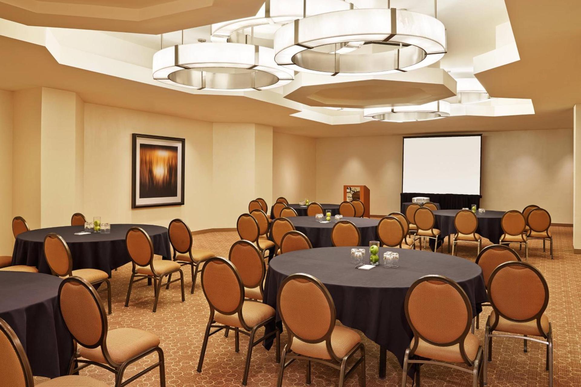 Sheraton Detroit Novi photo 32