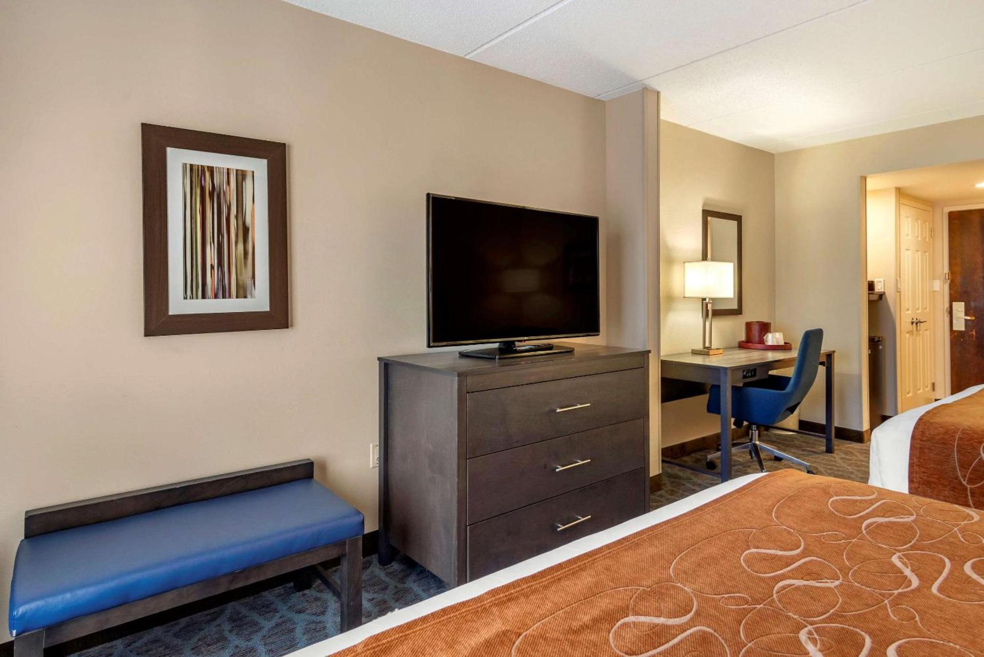 Comfort Suites Alpharetta-Roswell - Atlanta Area photo 8