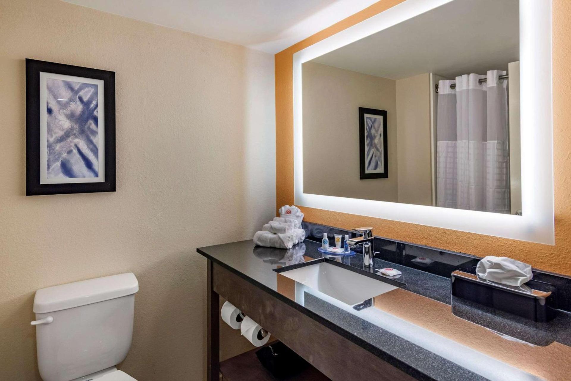Comfort Suites Alpharetta-Roswell - Atlanta Area photo 11