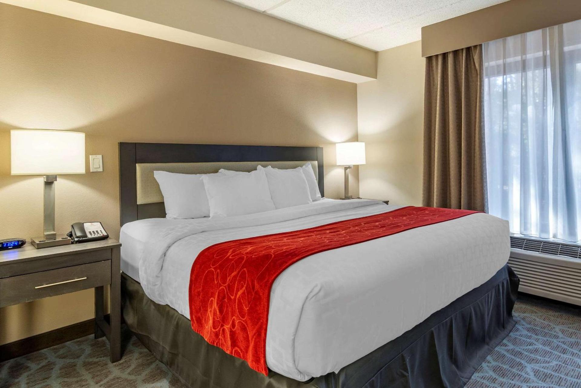 Comfort Suites Alpharetta-Roswell - Atlanta Area photo 13