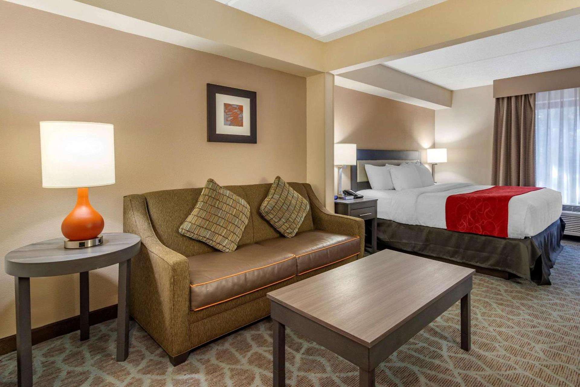 Comfort Suites Alpharetta-Roswell - Atlanta Area photo 15