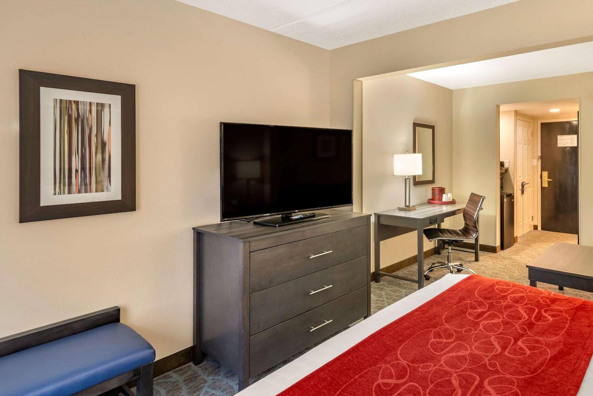 Comfort Suites Alpharetta-Roswell - Atlanta Area photo 16