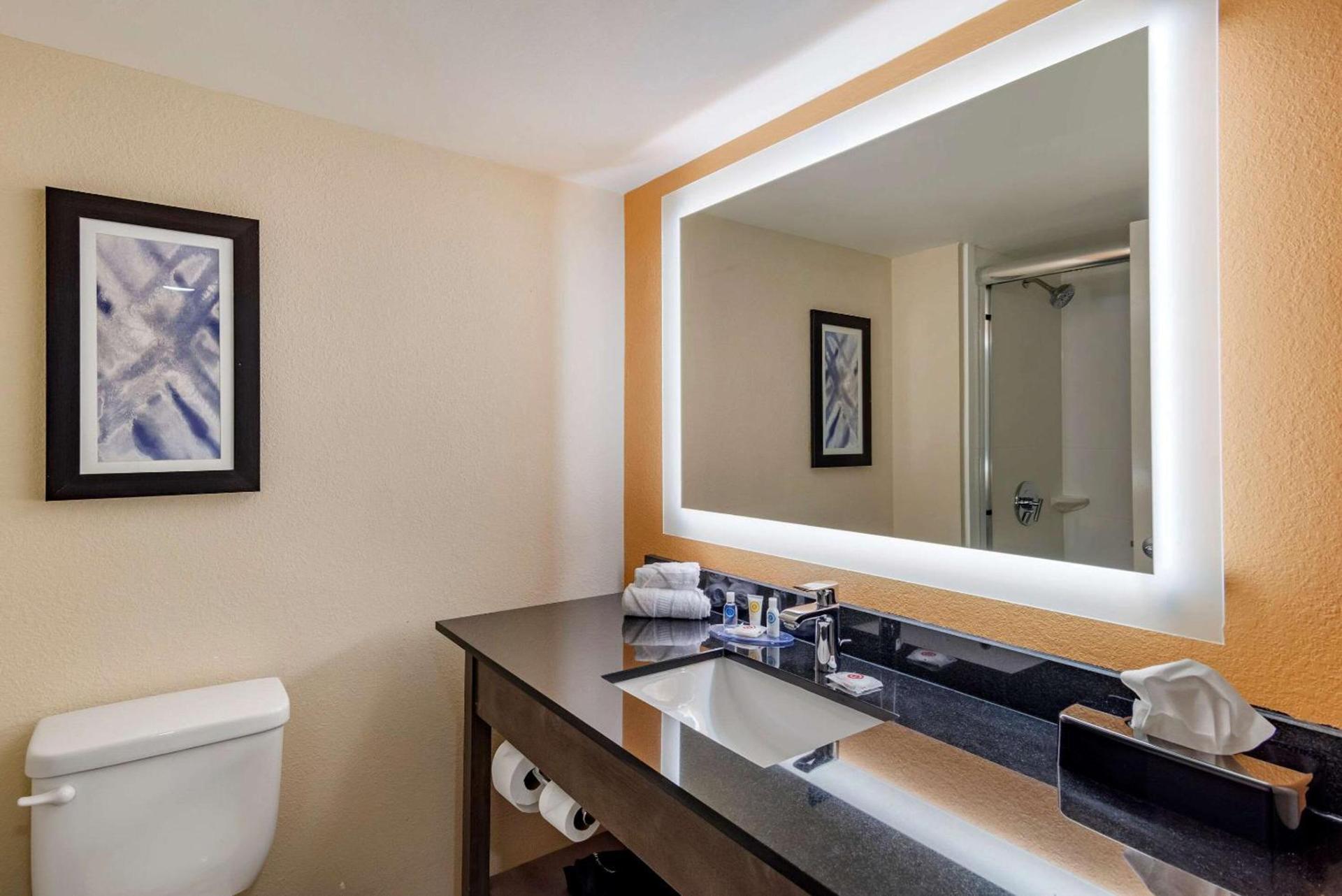 Comfort Suites Alpharetta-Roswell - Atlanta Area photo 17