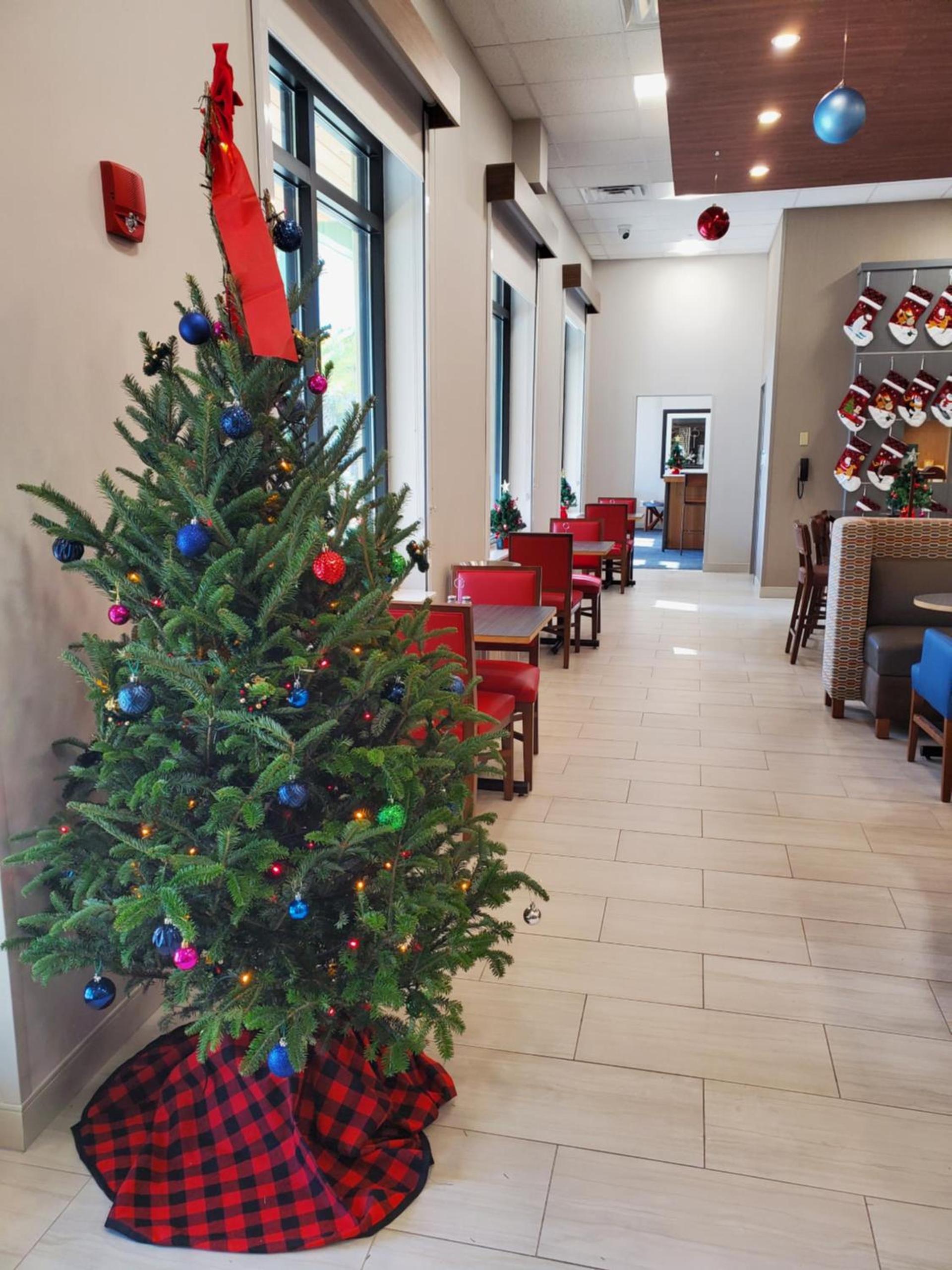 Holiday Inn Express St. Augustine - Vilano Beach by IHG photo 38