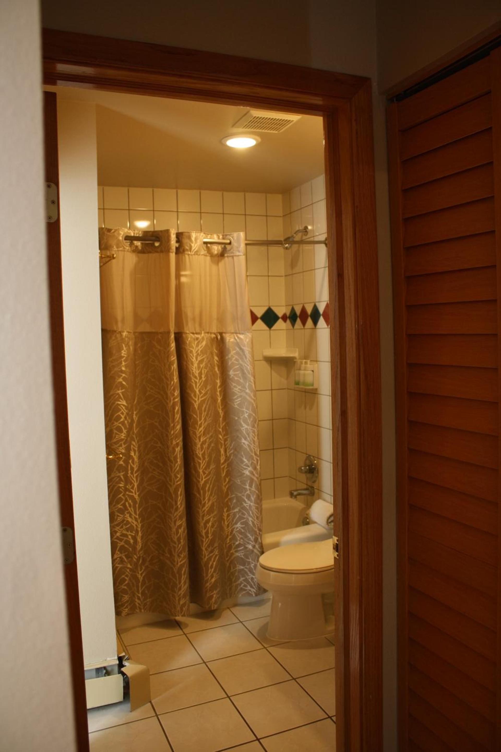 Gold Point Resort Breckenridge by Vacatia photo 67