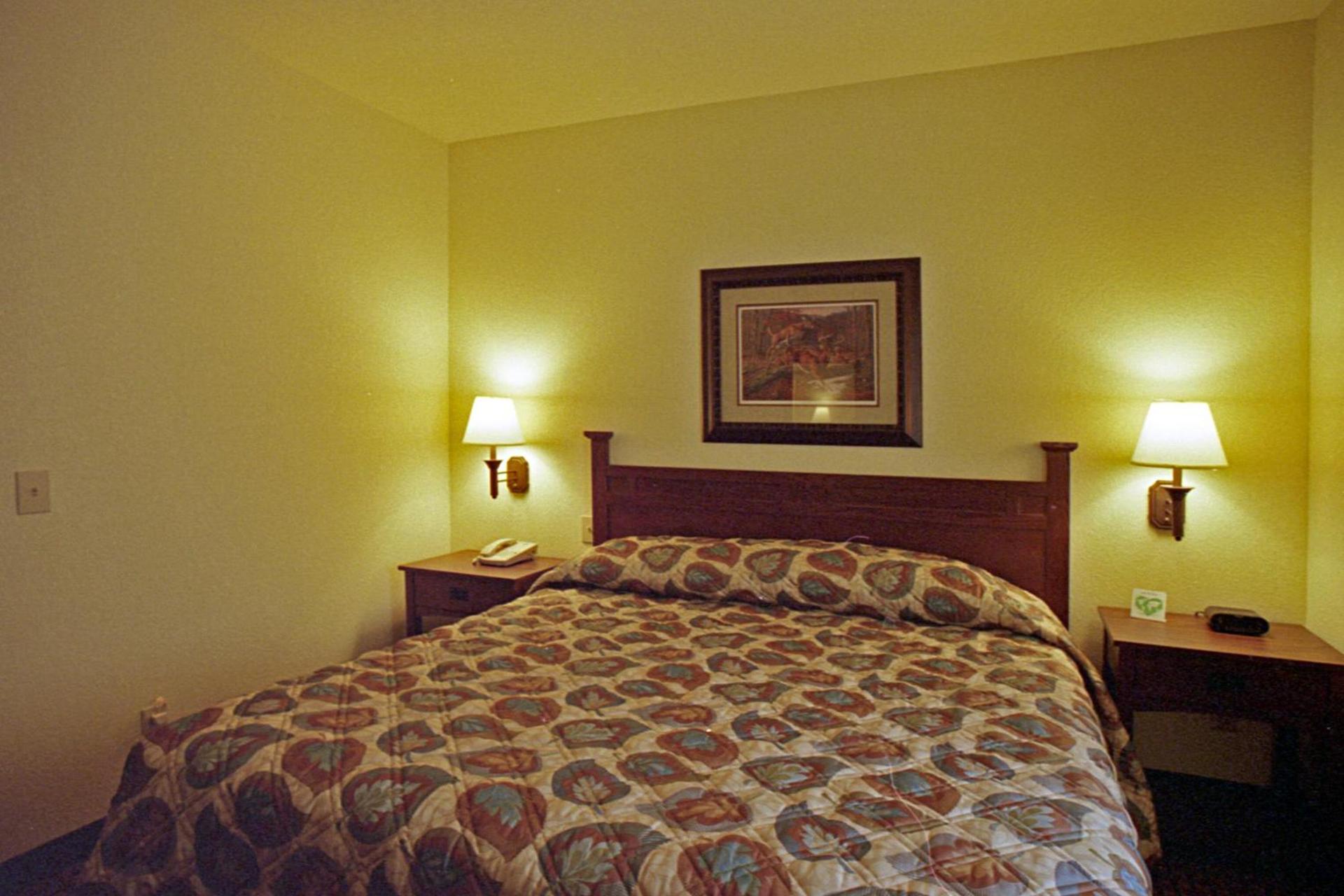Mountain Inn & Suites Airport - Hendersonville photo 5
