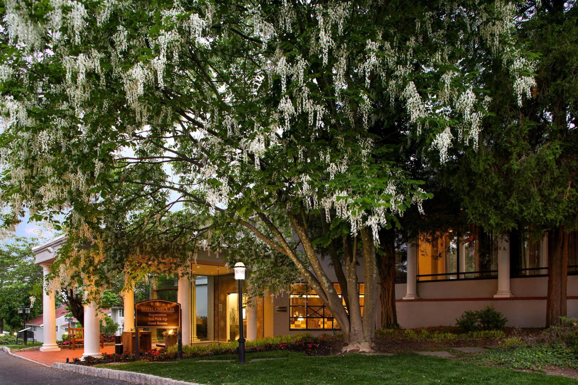 Tarrytown House Estate photo 13