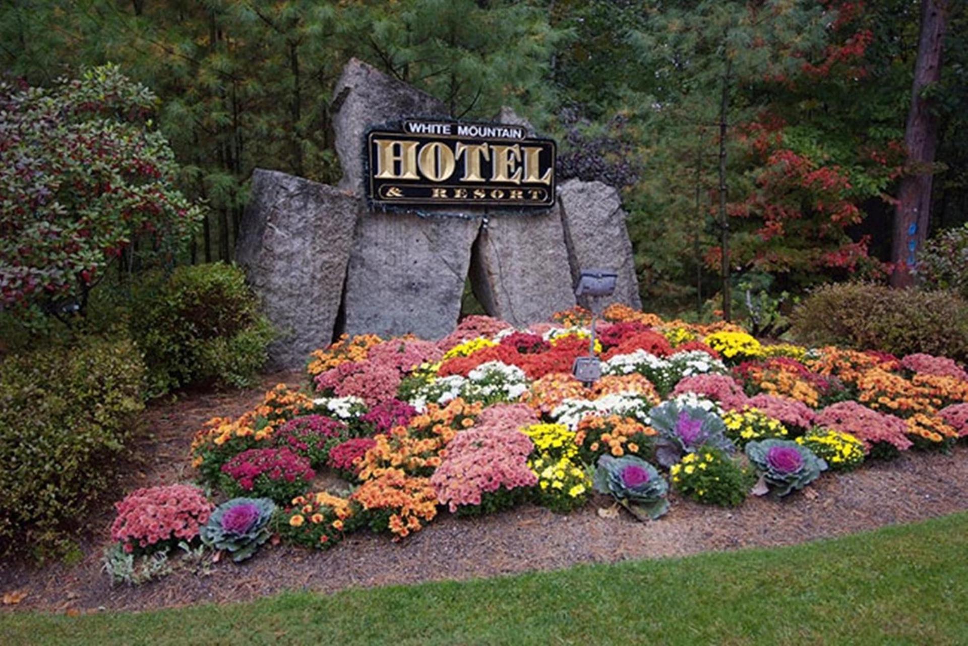 White Mountain Hotel and Resort photo 14