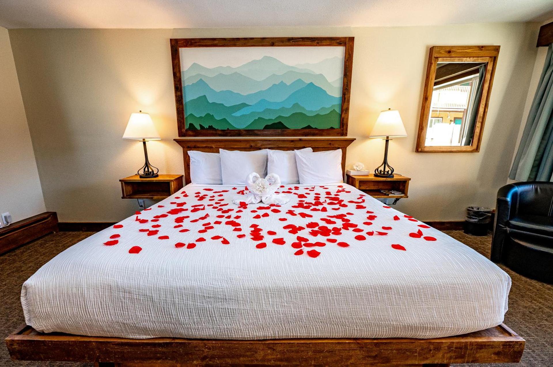 Murphy's River Lodge photo 3
