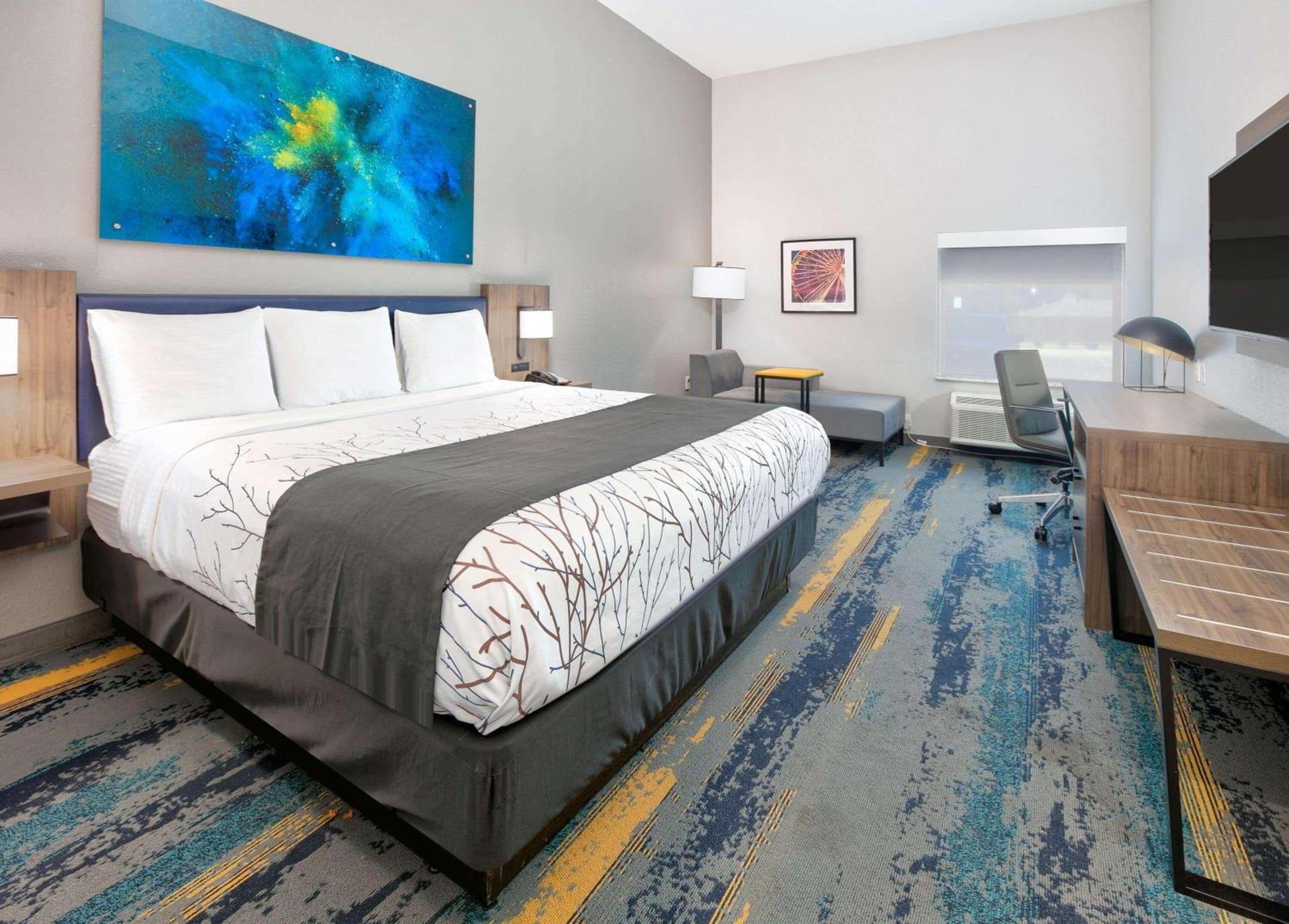 La Quinta Inn & Suites by Wyndham Dallas/Fairpark photo 40