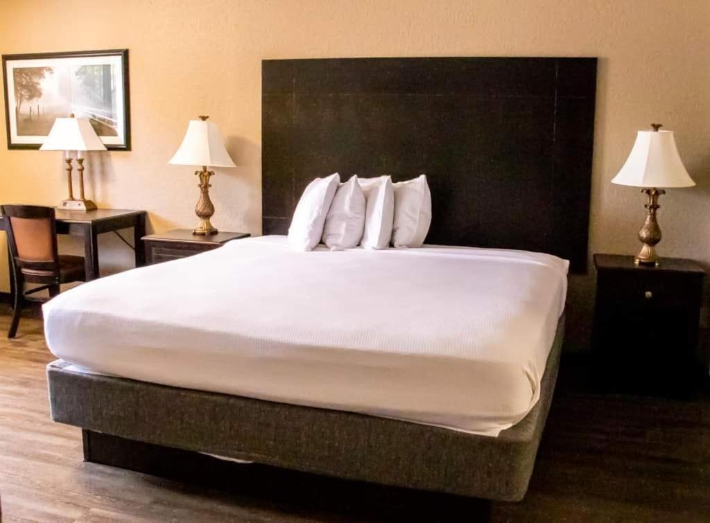 Econo Lodge Vidalia photo 48