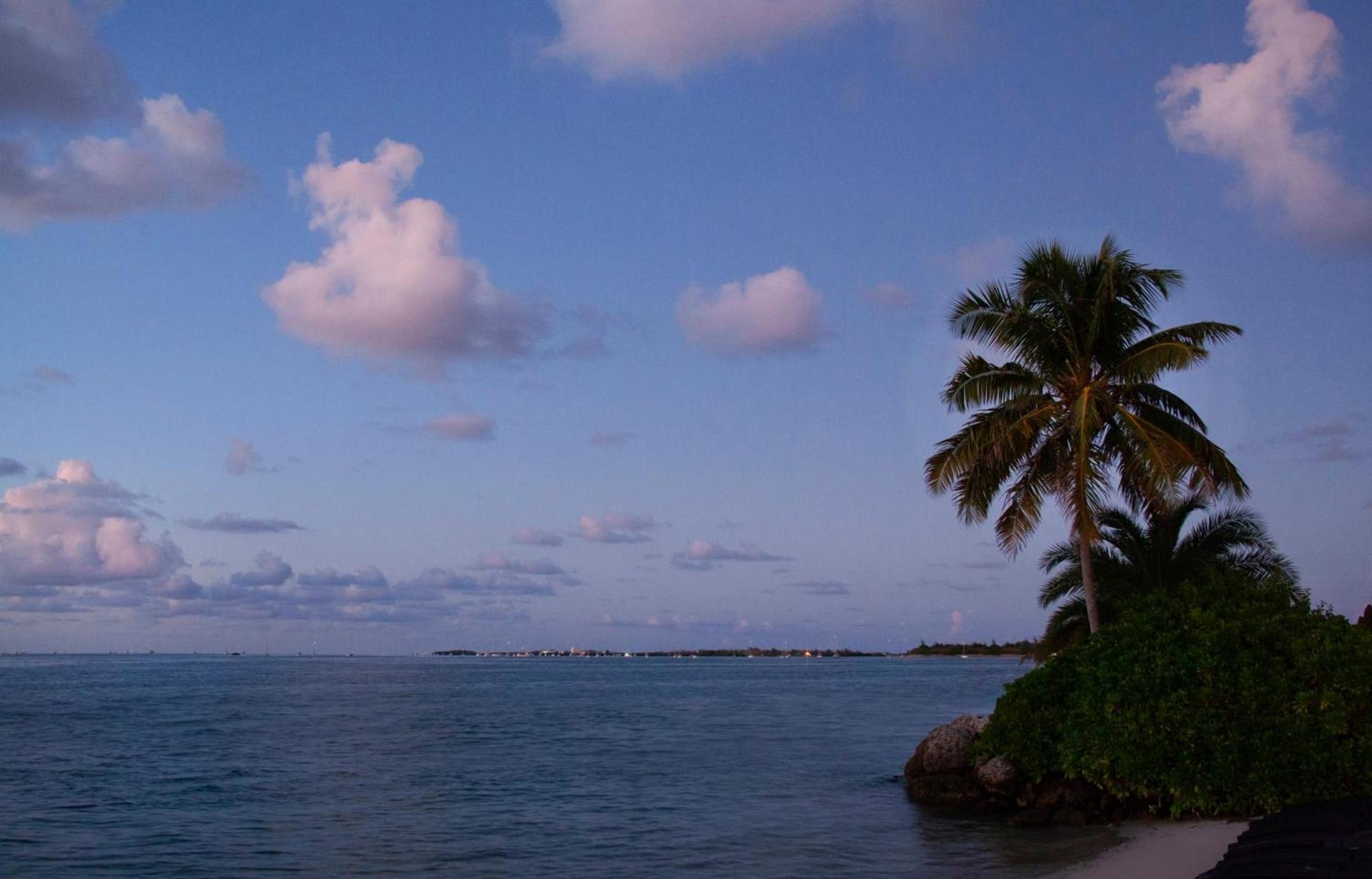 Pier House Resort & Spa photo 24