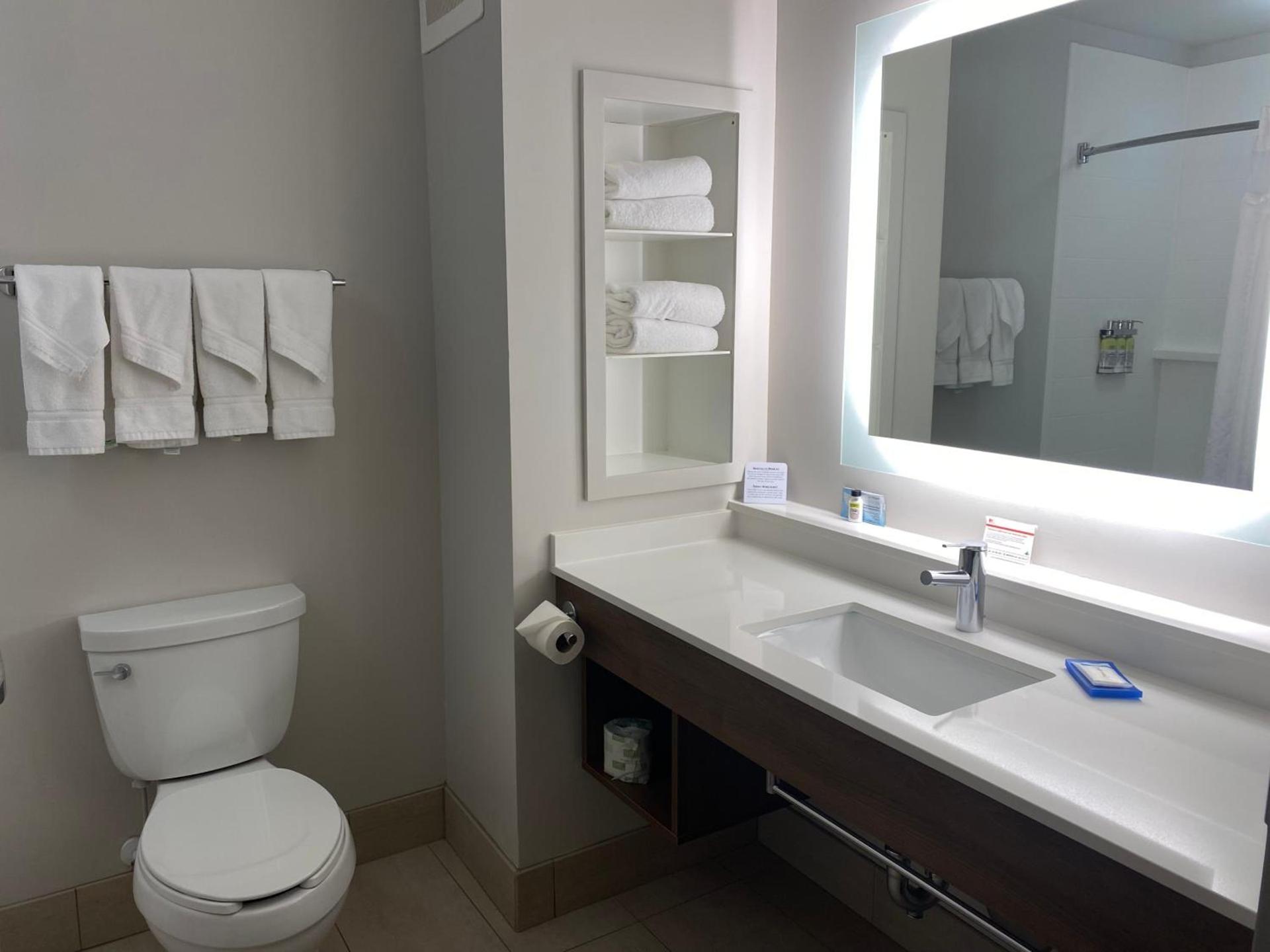 Holiday Inn Express Hotel & Suites Binghamton University-Vestal by IHG photo 6
