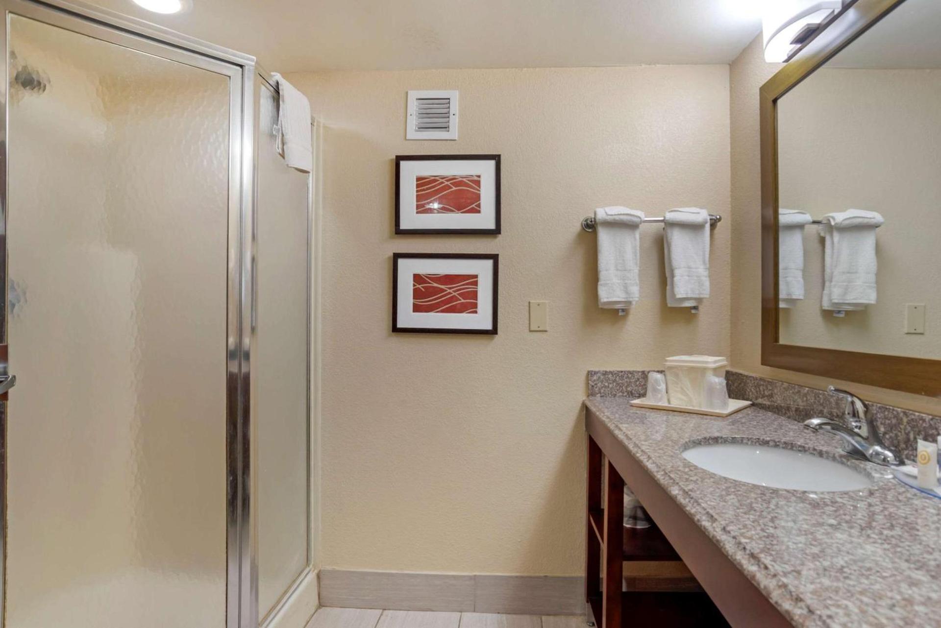 Comfort Inn University Area photo 10