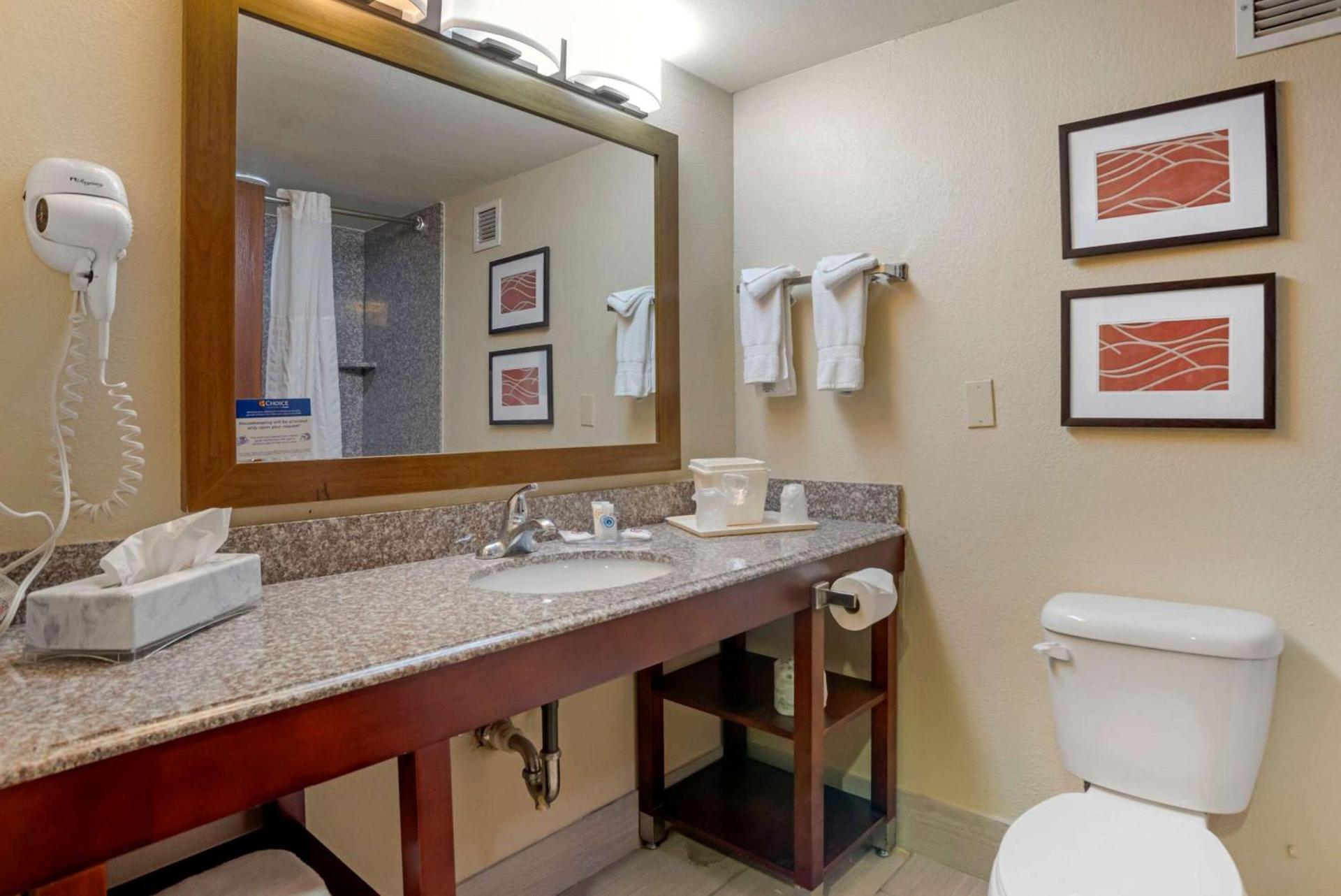 Comfort Inn University Area photo 17