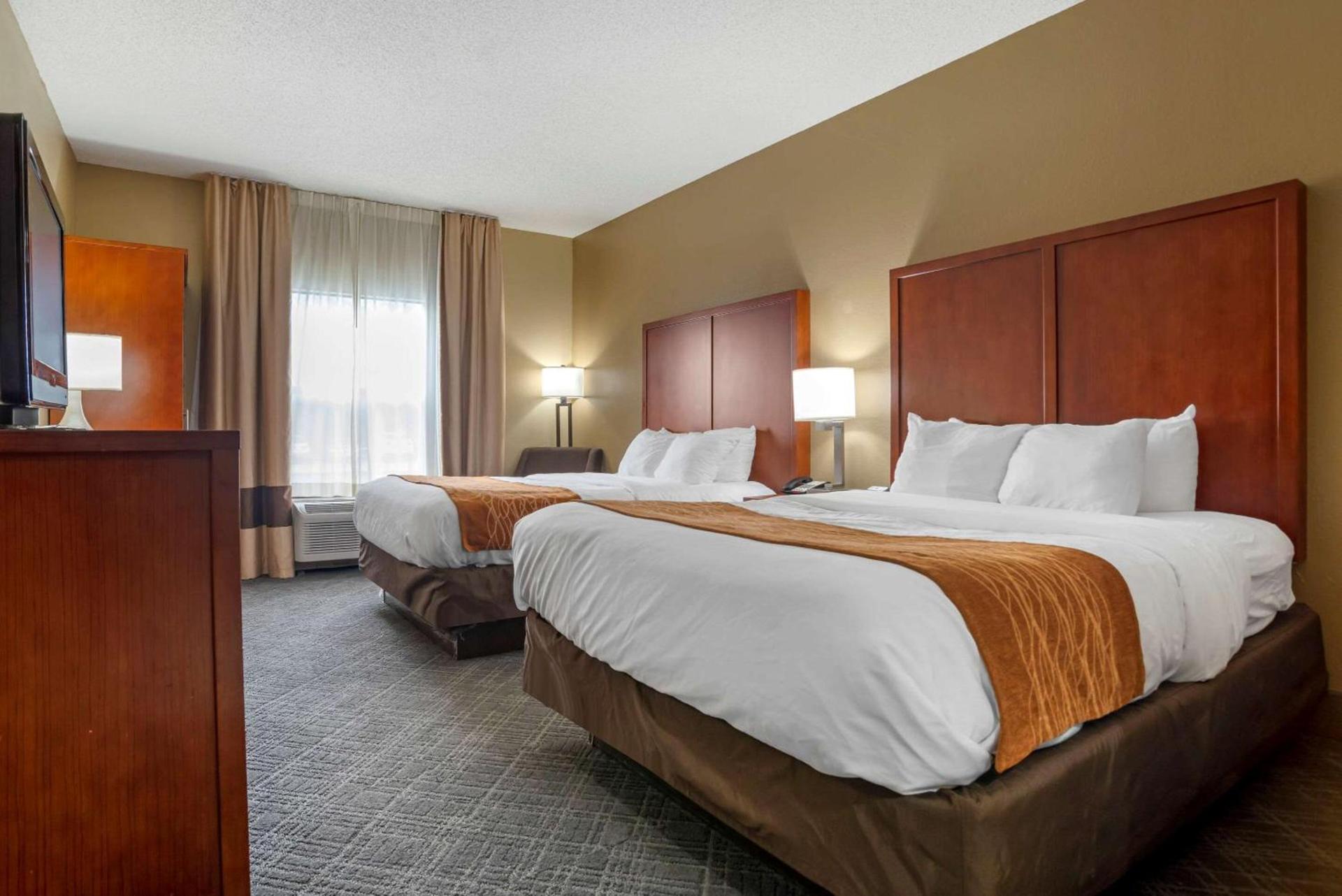 Comfort Inn University Area photo 27