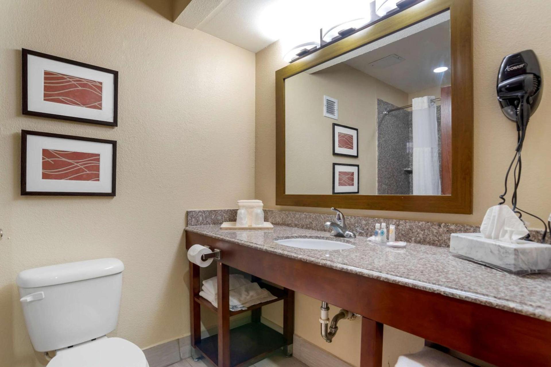 Comfort Inn University Area photo 20