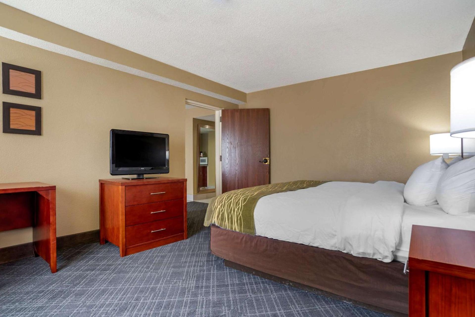 Comfort Inn University Area photo 25