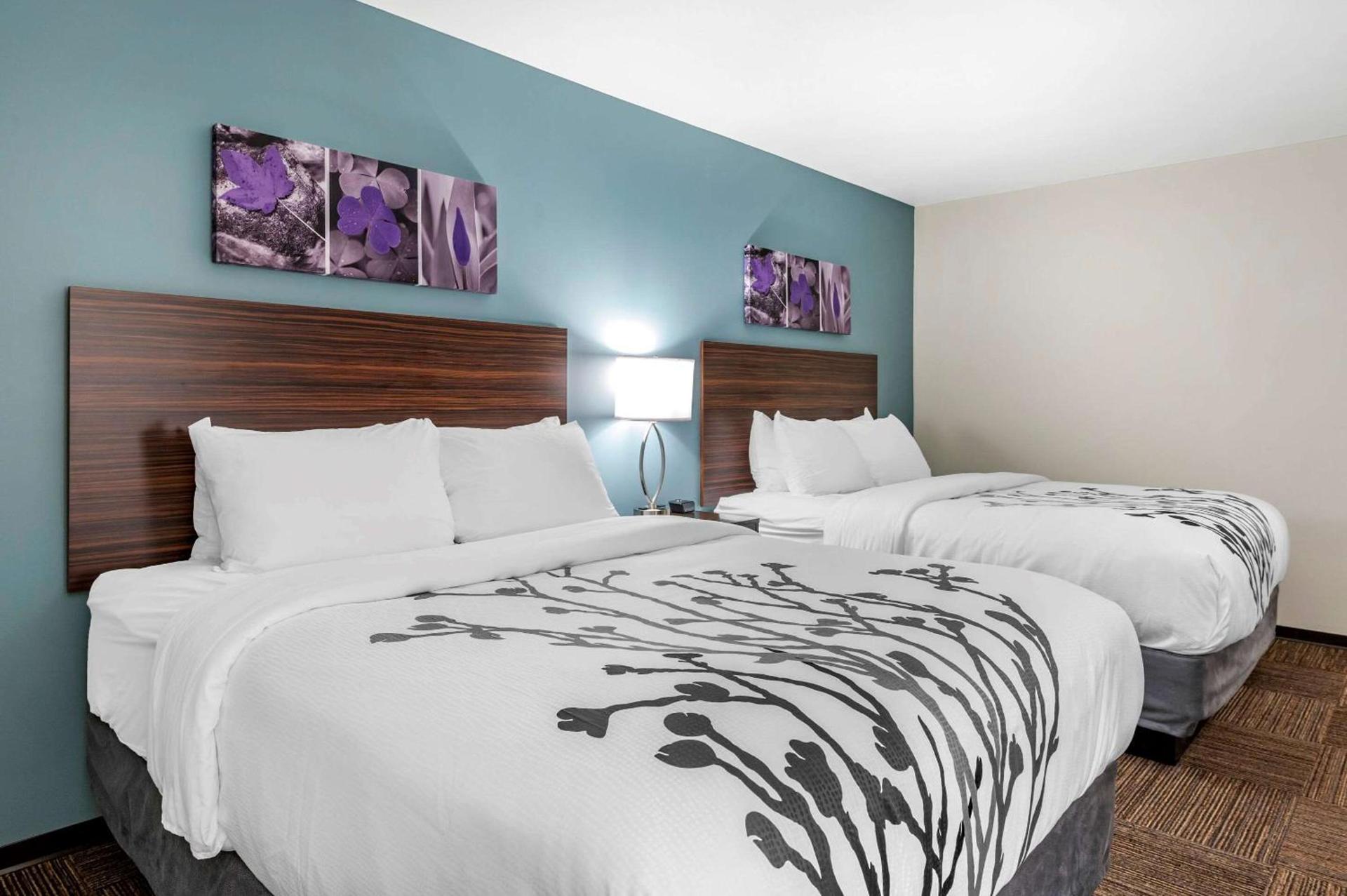 Sleep Inn photo 13