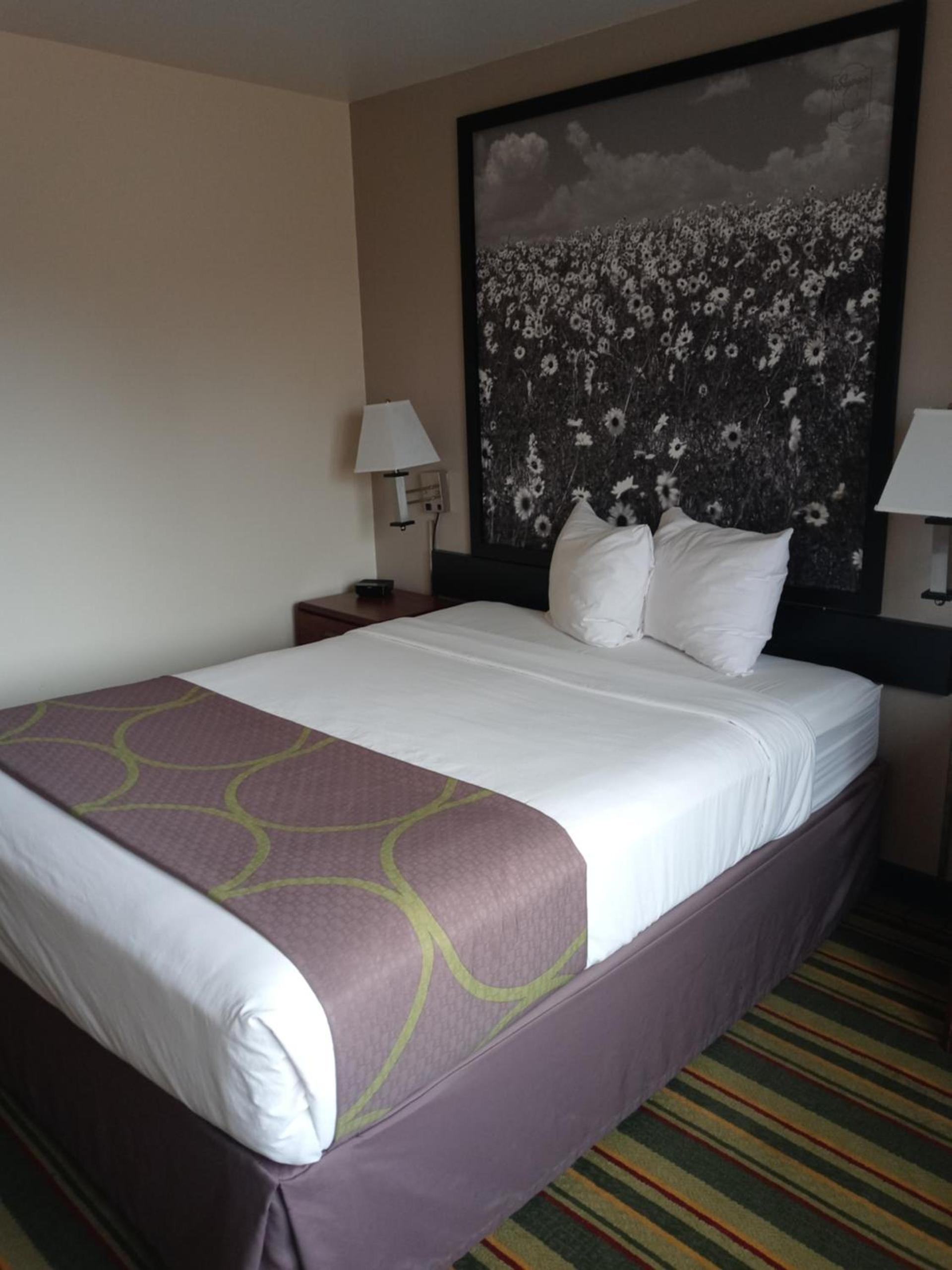 Super 8 by Wyndham Windsor photo 40