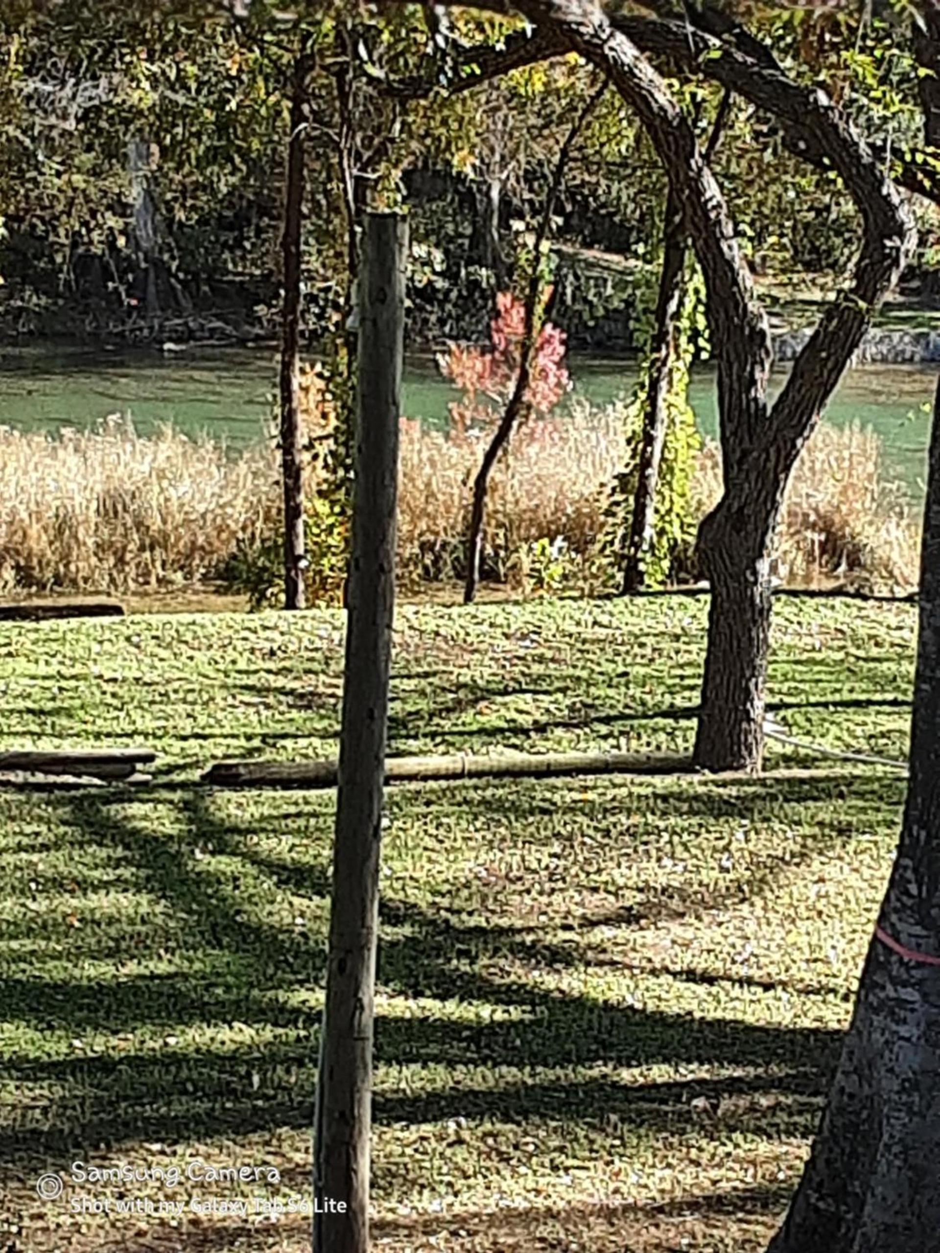 Horseshoe Riverside Lodge photo 14