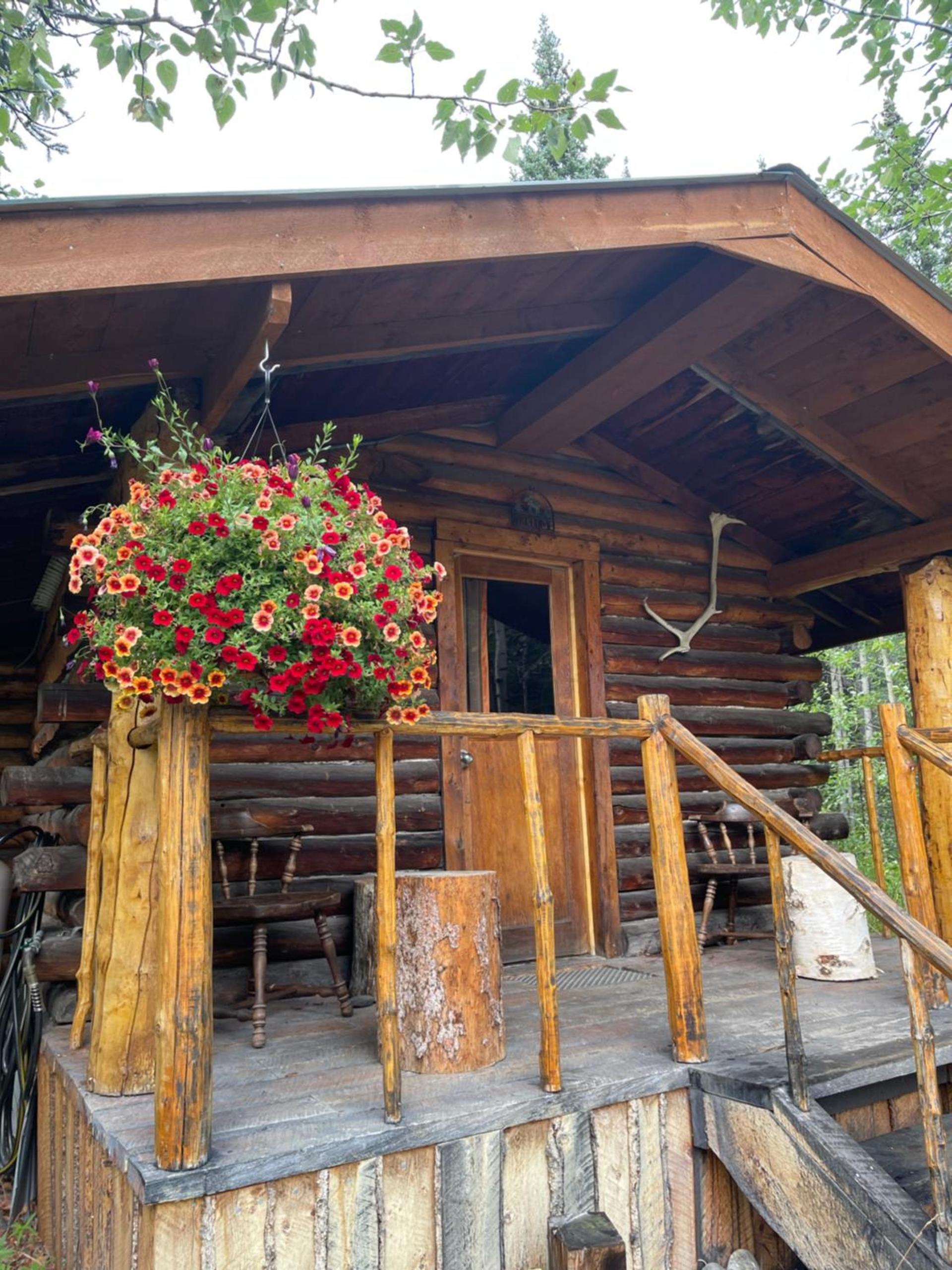 Carlo Creek Cabins photo 8