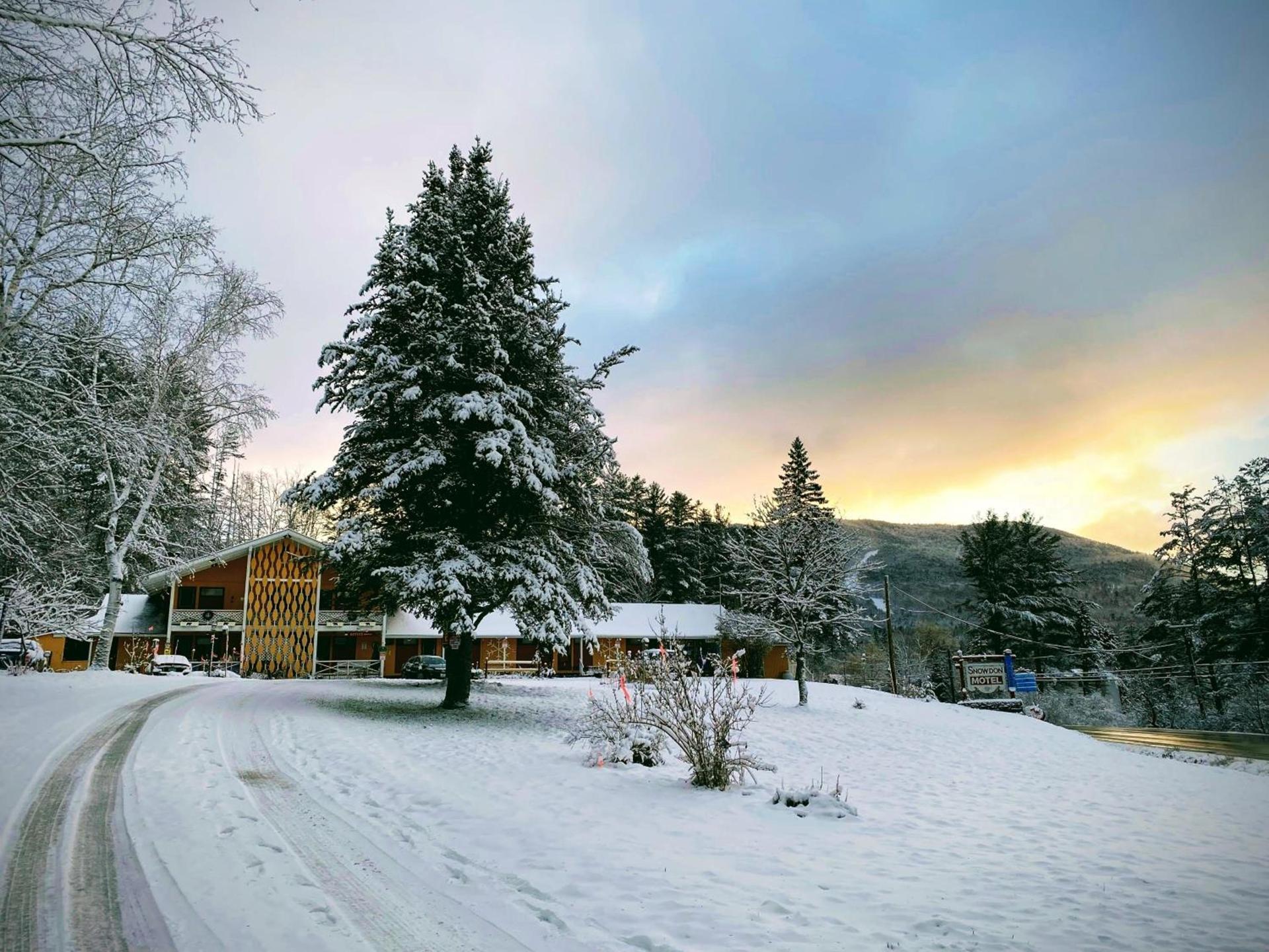 Snowdon Chalet Motel photo 14