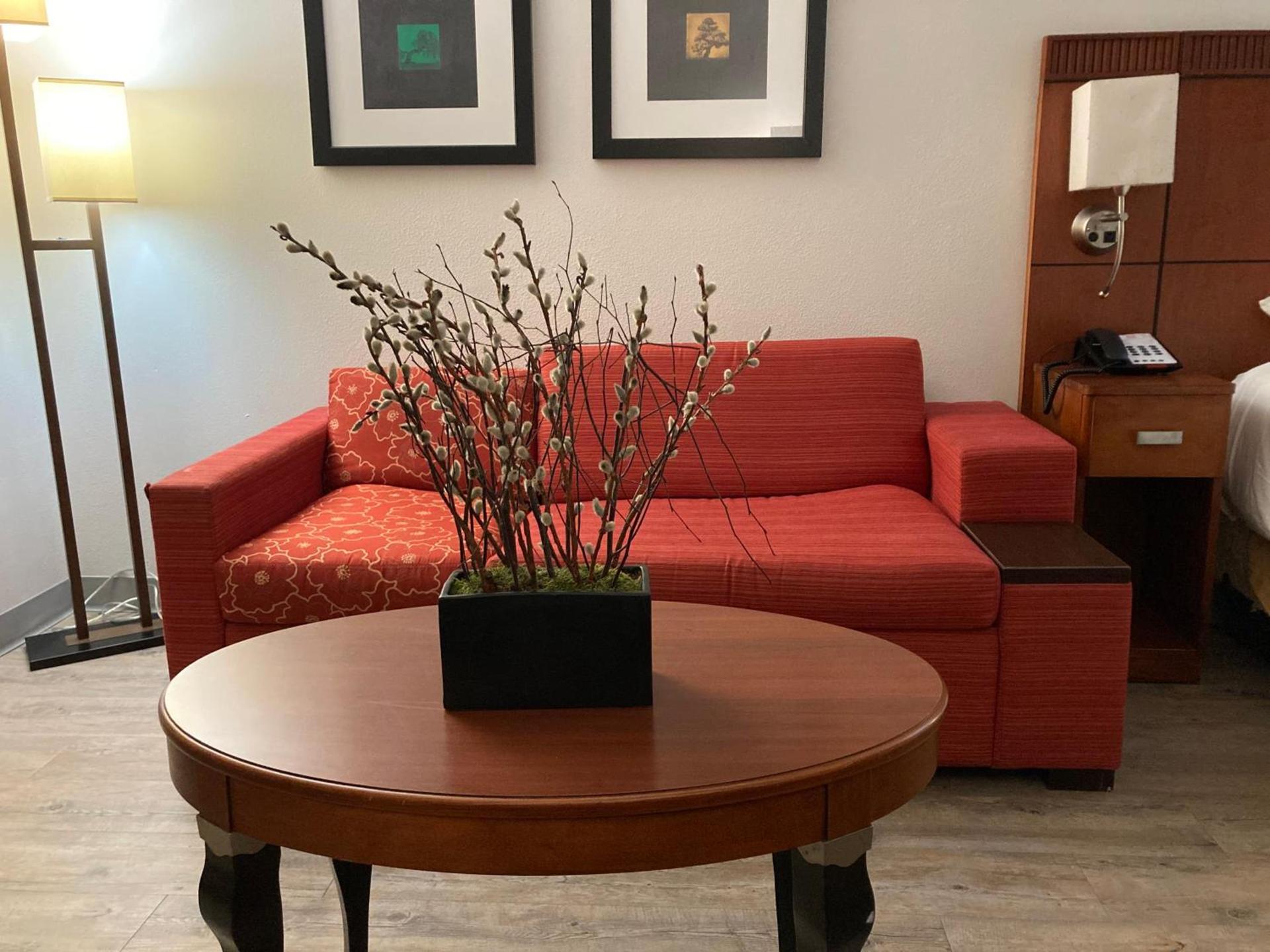 The Hotel Orange photo 5