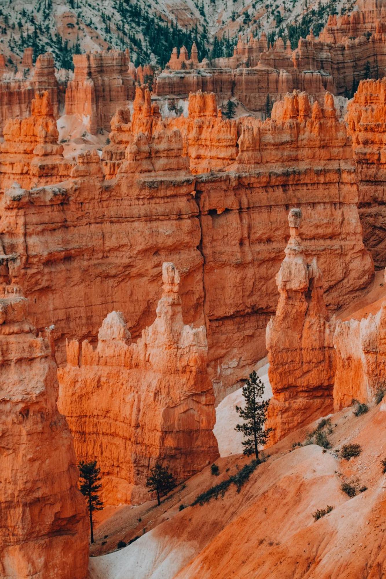 Wander Camp Bryce Canyon - Escalante photo 16