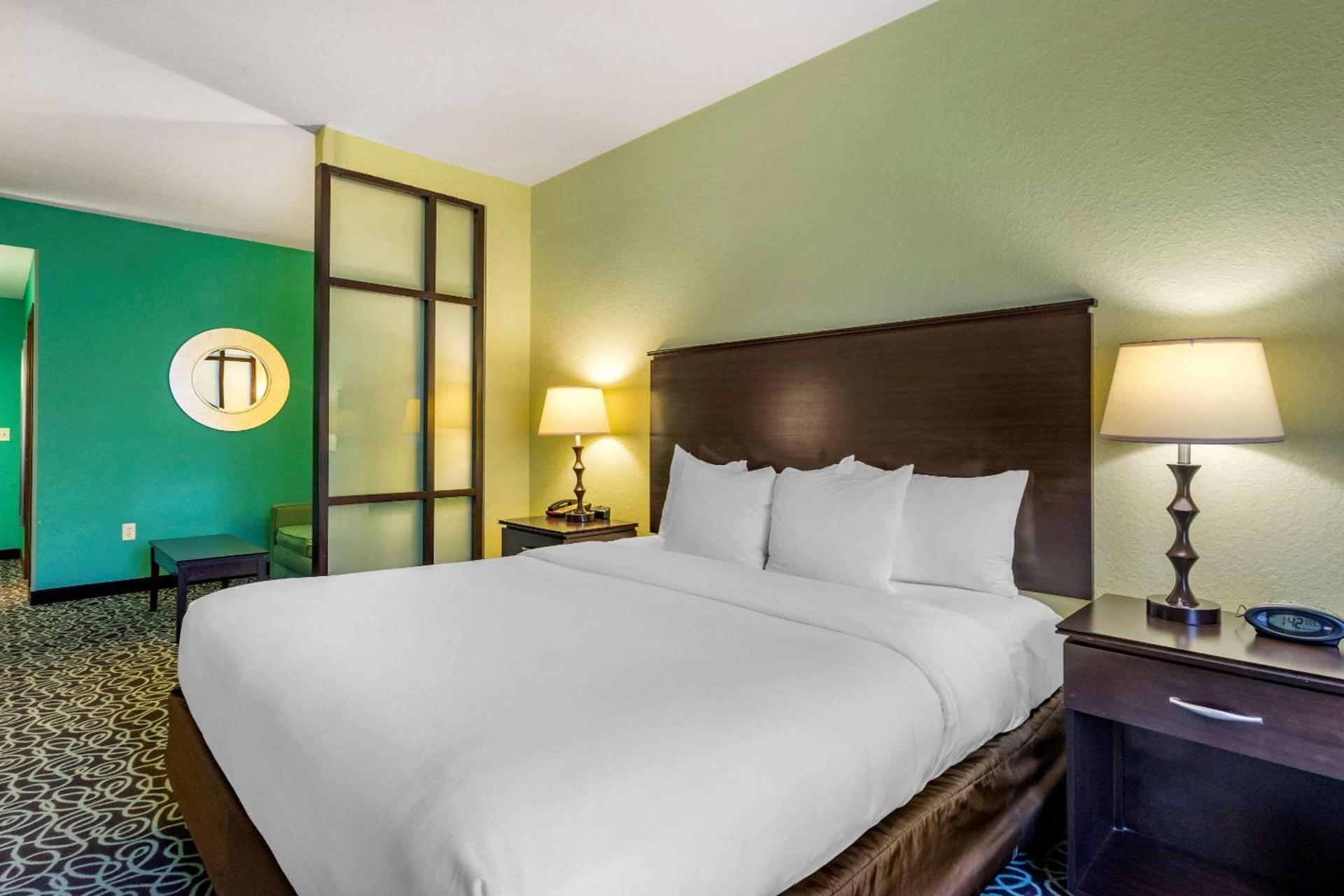 Hampton Inn by Hilton Tampa Fairgrounds Casino photo 11