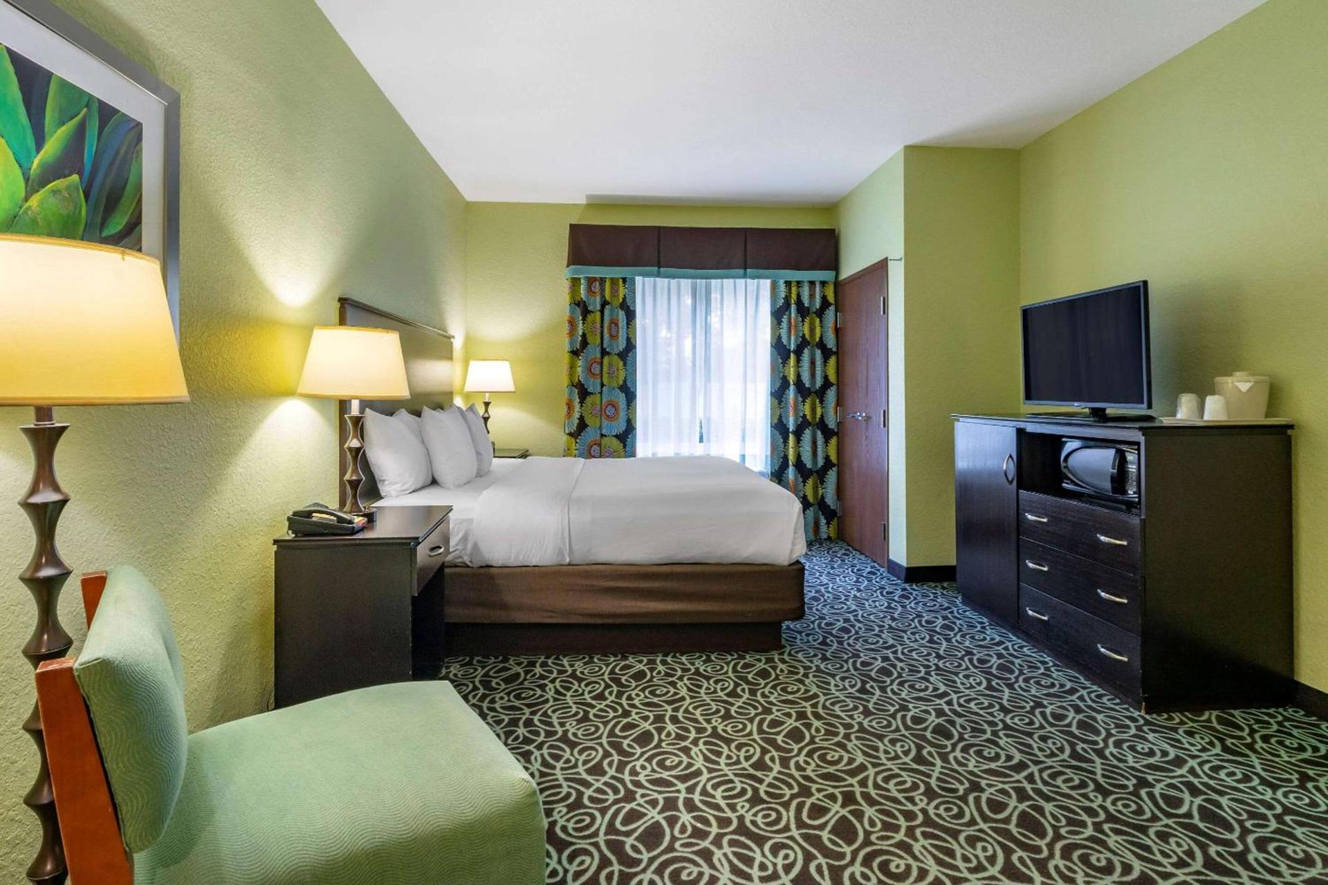 Hampton Inn by Hilton Tampa Fairgrounds Casino photo 14