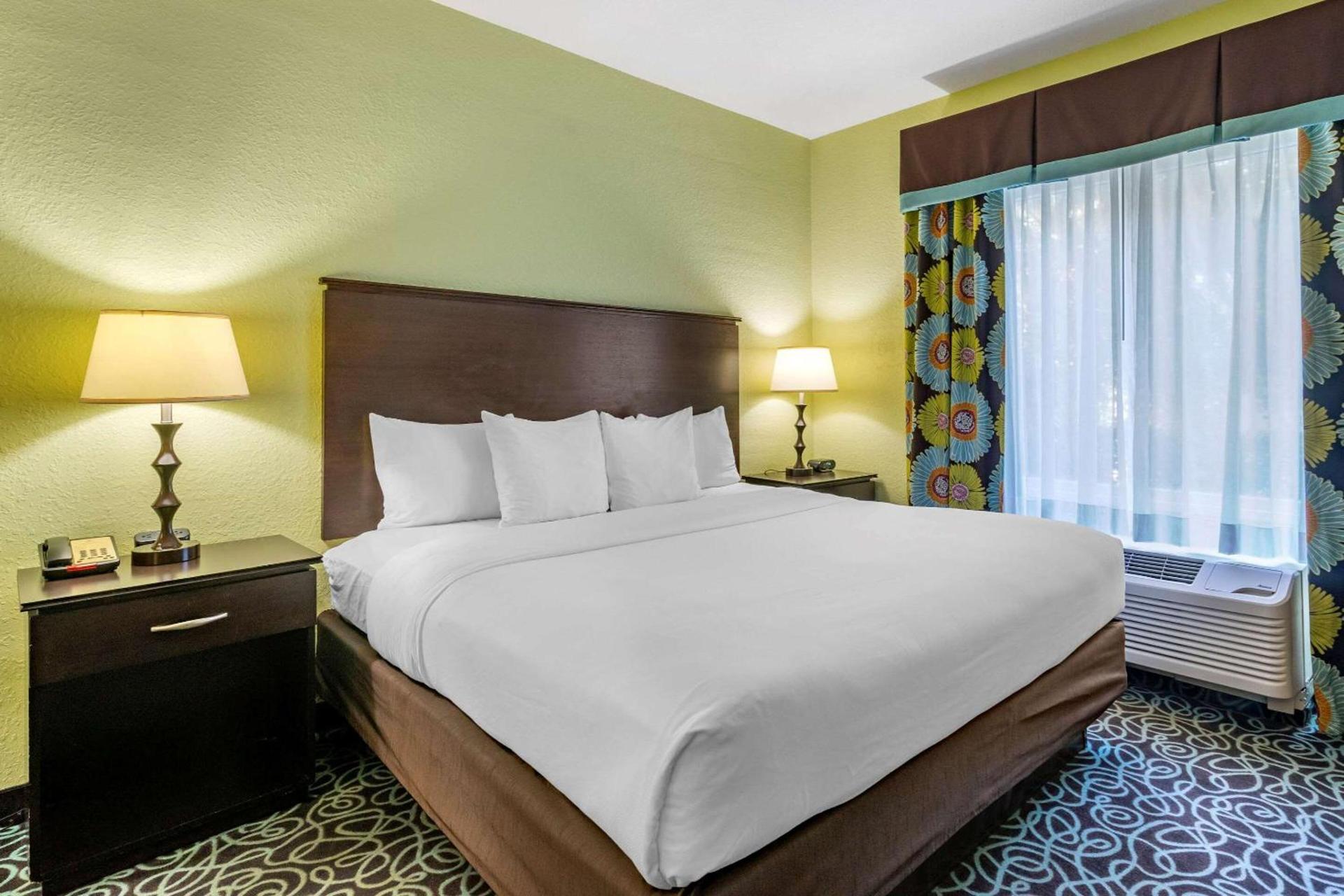 Hampton Inn by Hilton Tampa Fairgrounds Casino photo 15