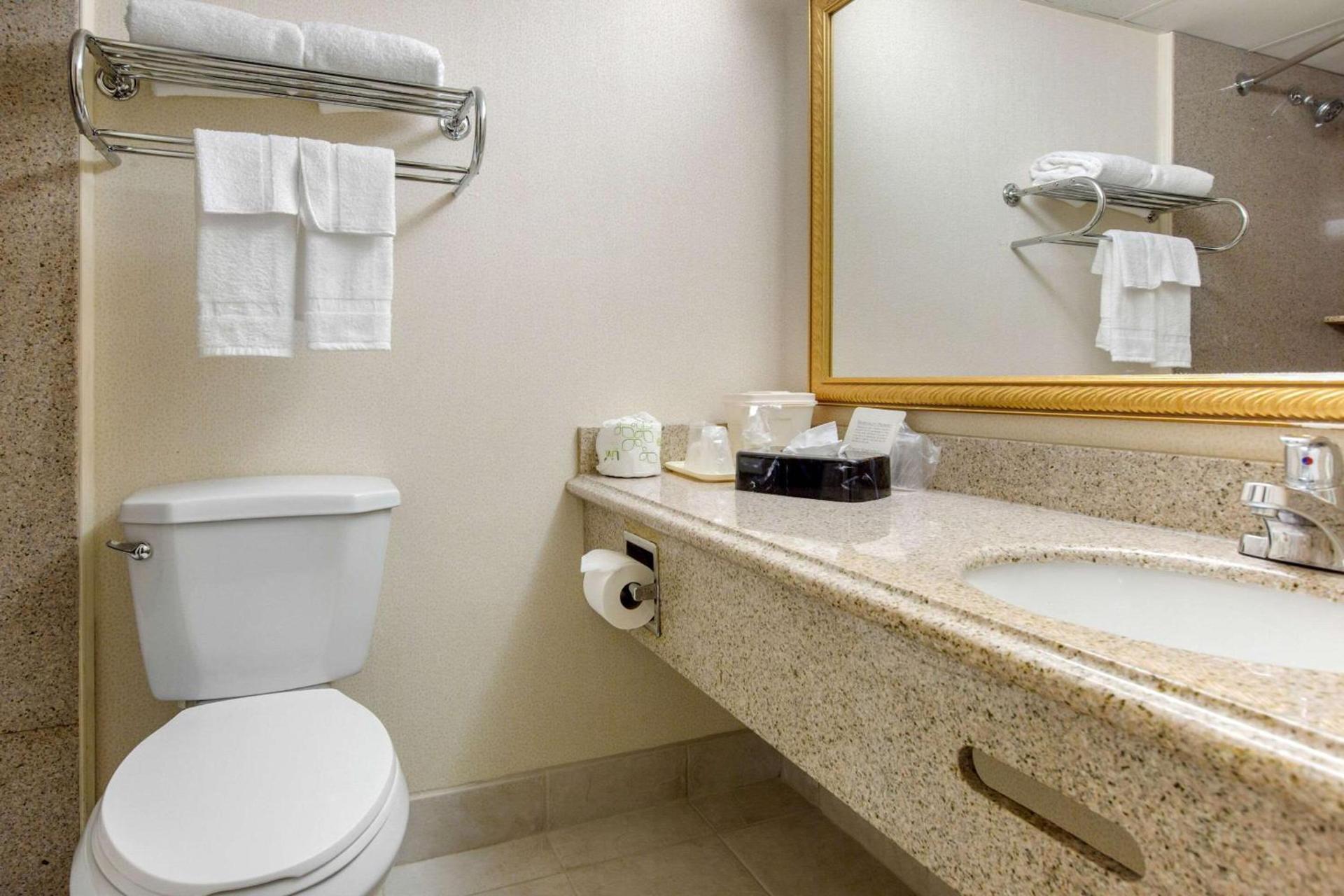 Quality Inn Ledgewood - Dover photo 14