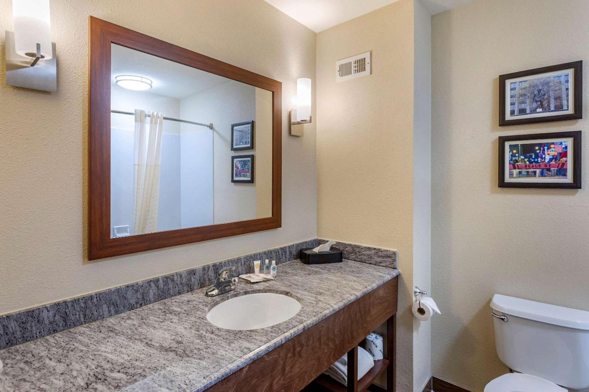 Comfort Inn & Suites Atoka-Millington photo 8