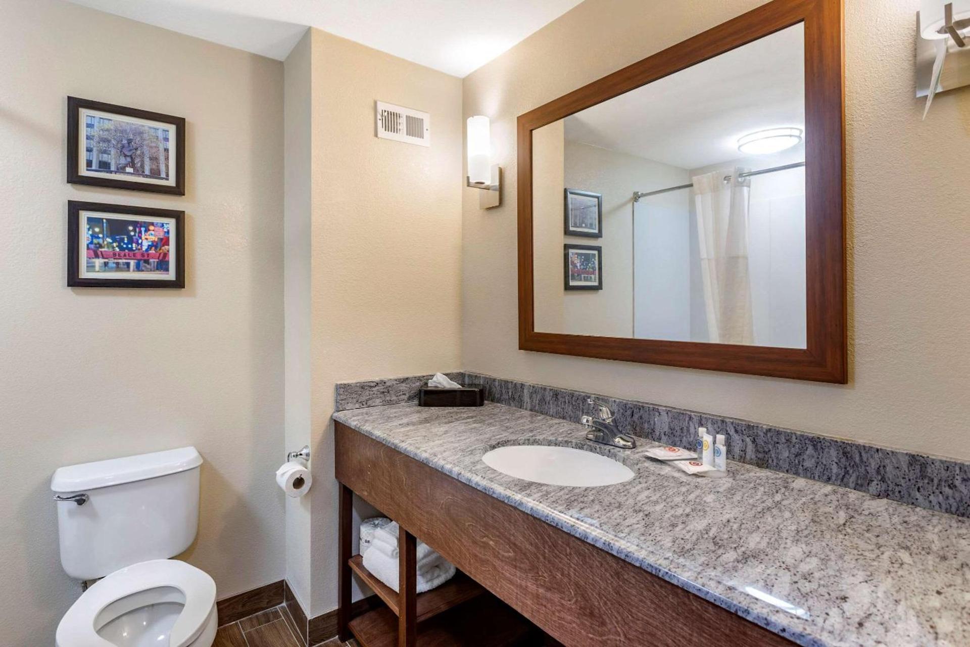 Comfort Inn & Suites Atoka-Millington photo 30