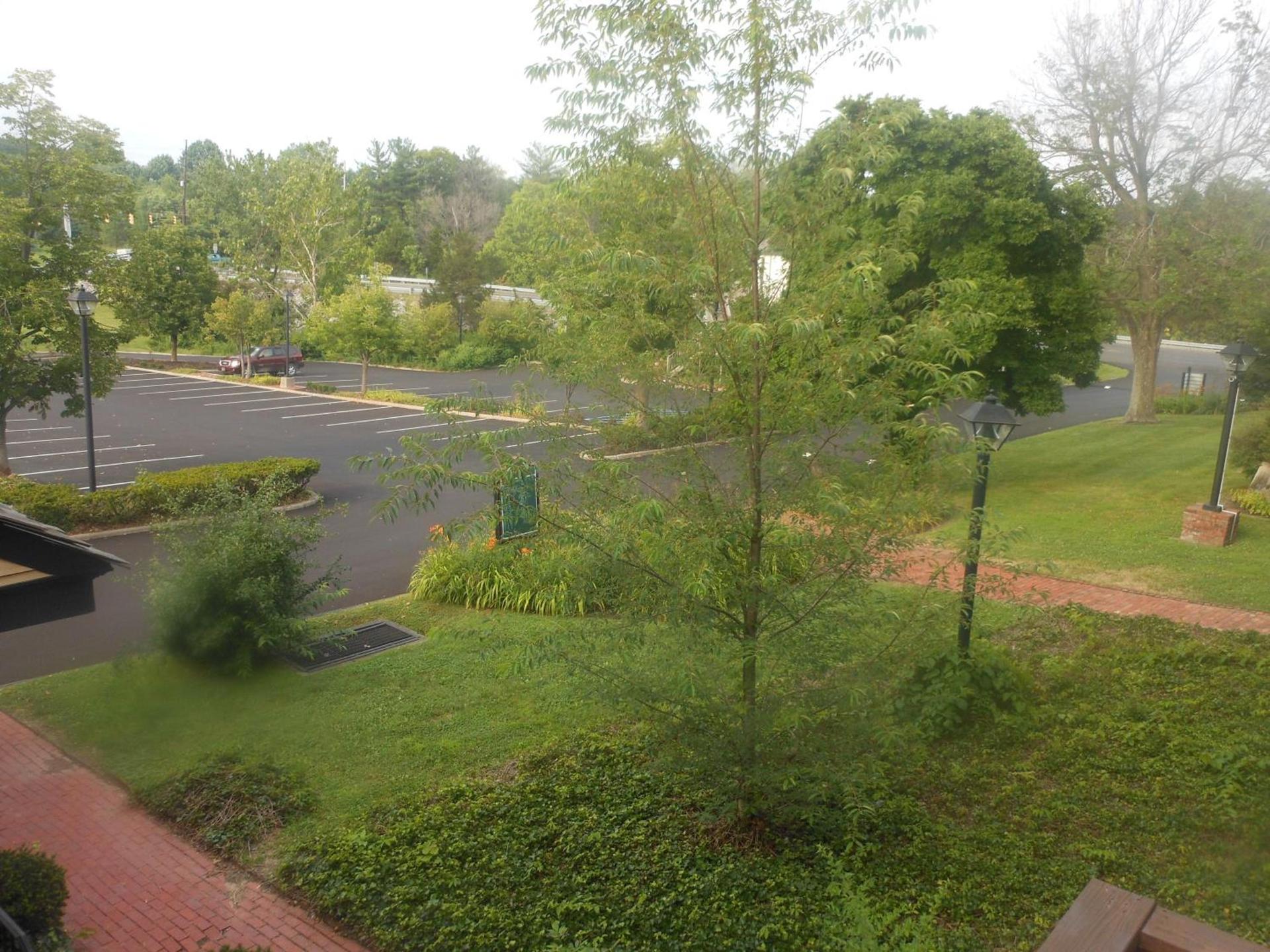 Century Suites Hotel photo 81