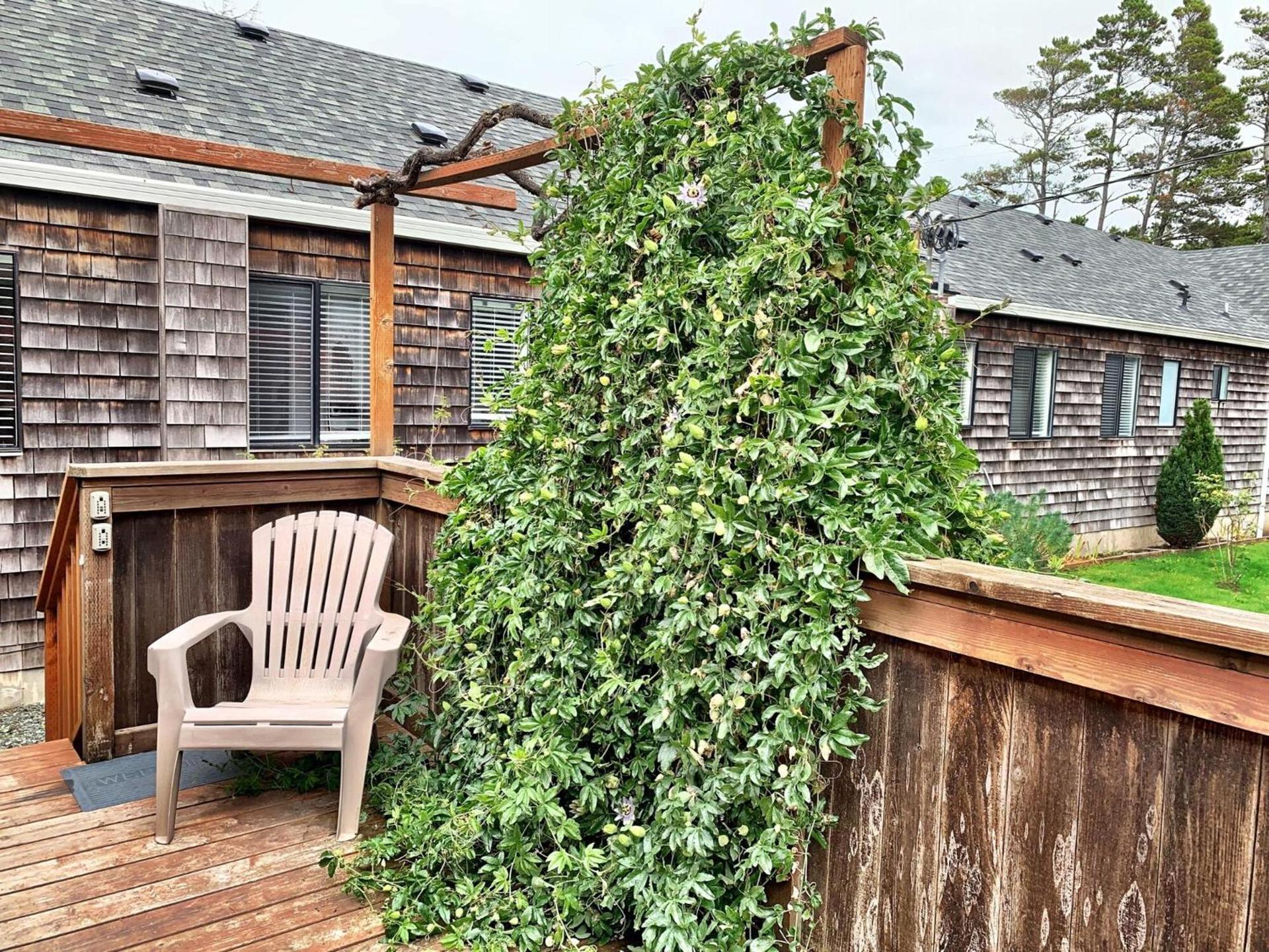 San Dune Inn photo 88