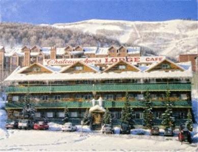 Chateau Apres Lodge photo 23