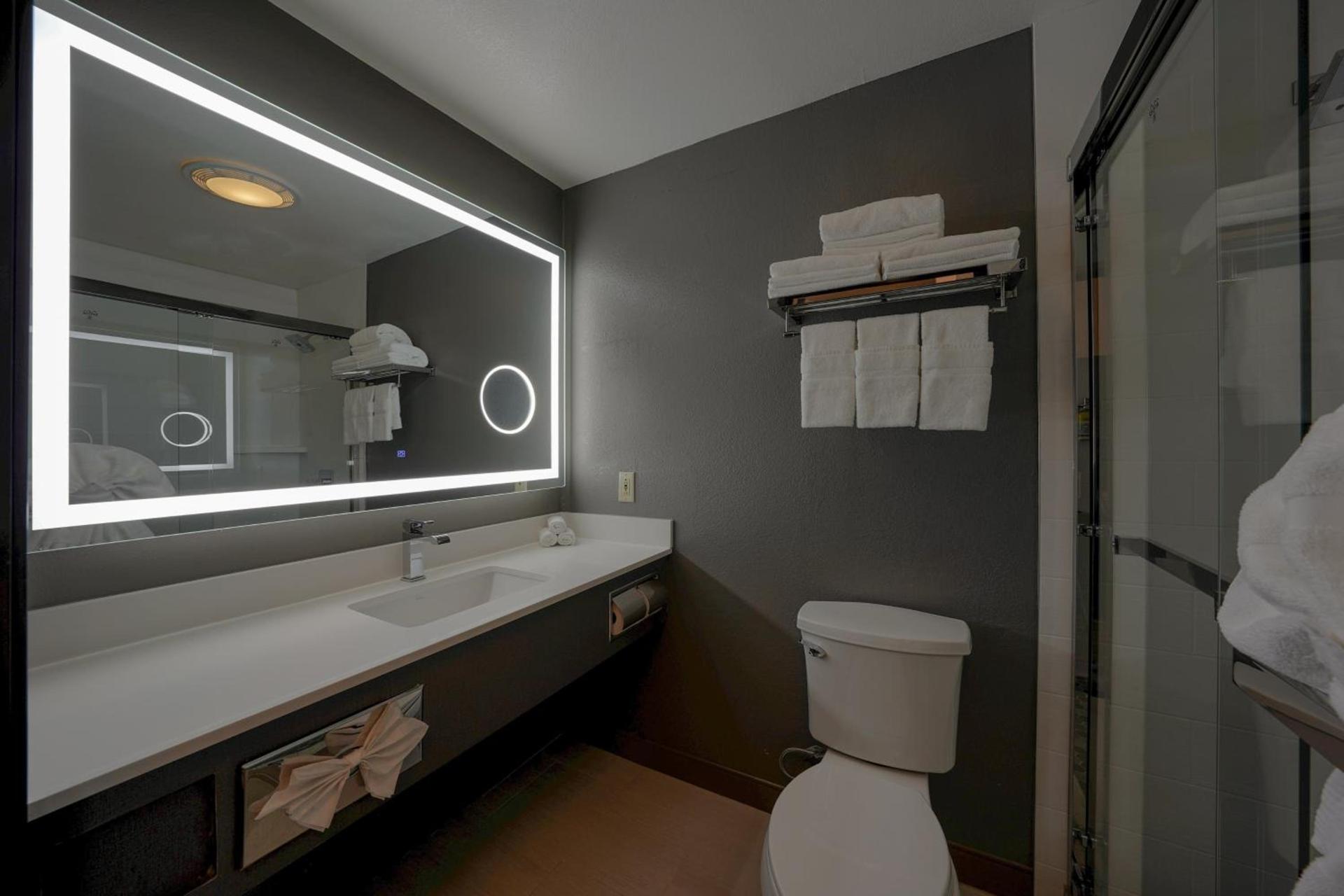 Holiday Inn Express & Suites Santa Clara - Silicon Valley by IHG photo 58