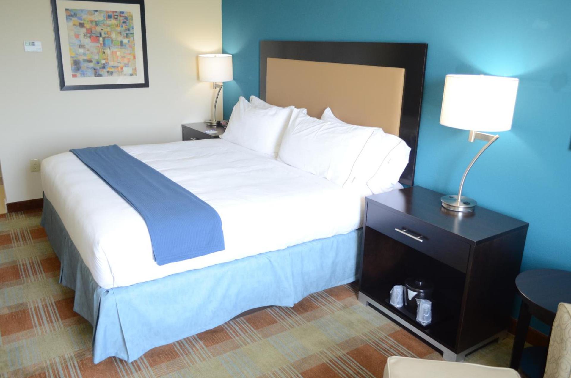 Holiday Inn Express & Suites Houston Northwest-Brookhollow by IHG photo 13
