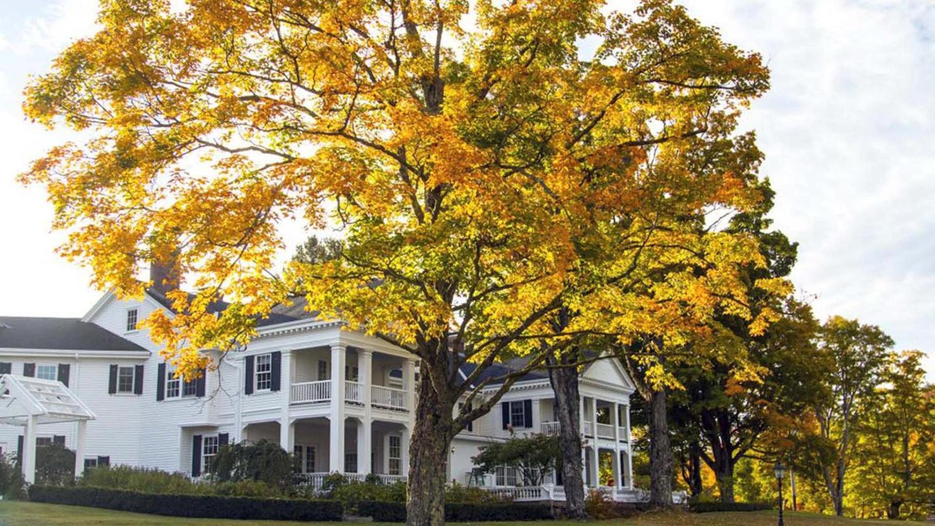 The White House Inn photo 27