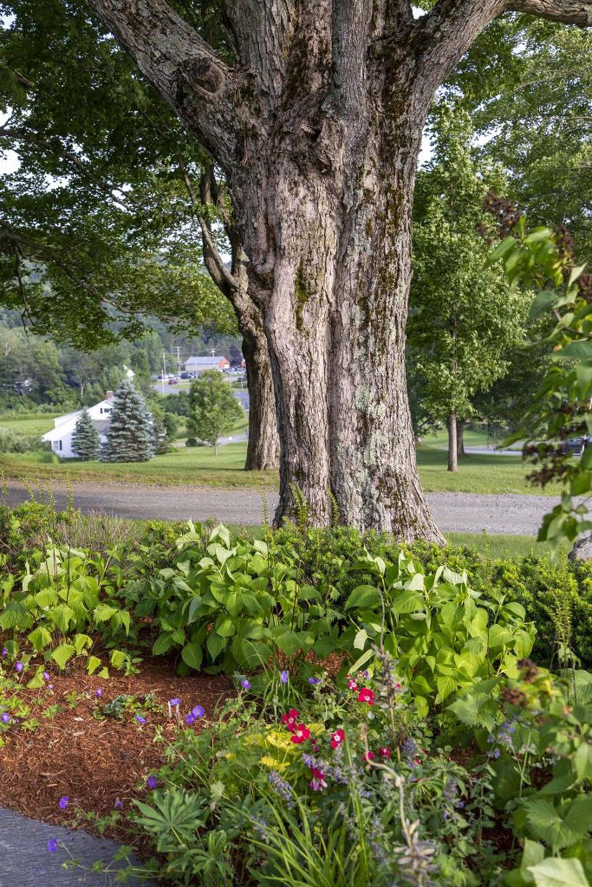 The White House Inn photo 22